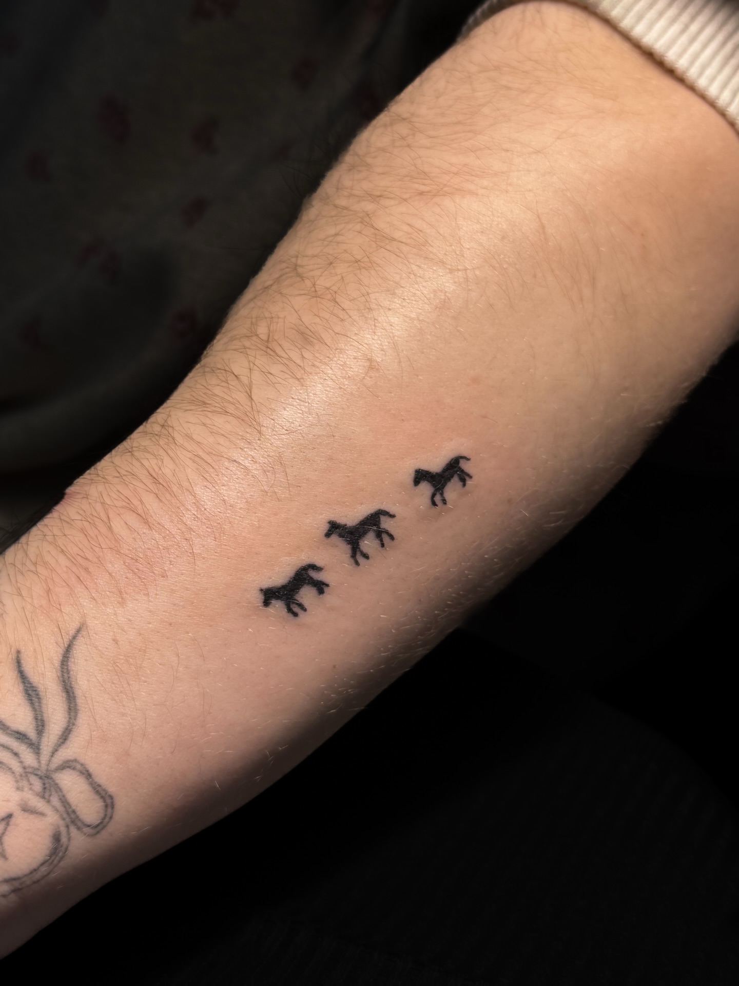 Horses minimalist tattoo on the forearm by Nicole