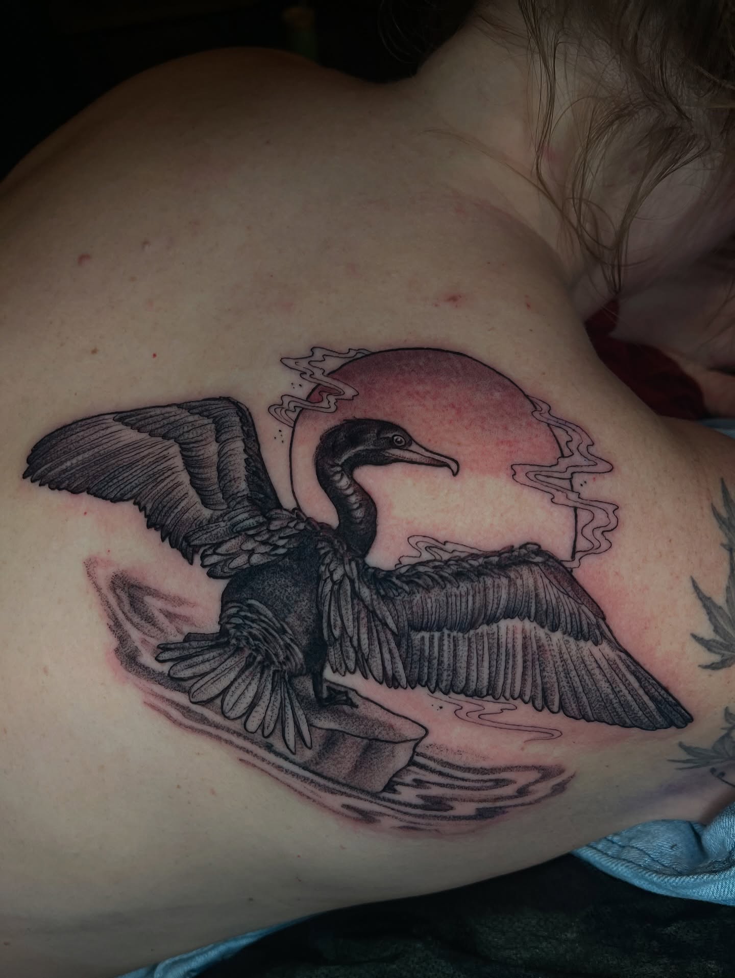 Bird black and grey tattoo on the shoulder by carly g โ๏ธ ๐๐๐ค ๐ฝ๐๐๐ ๐๐ฆ