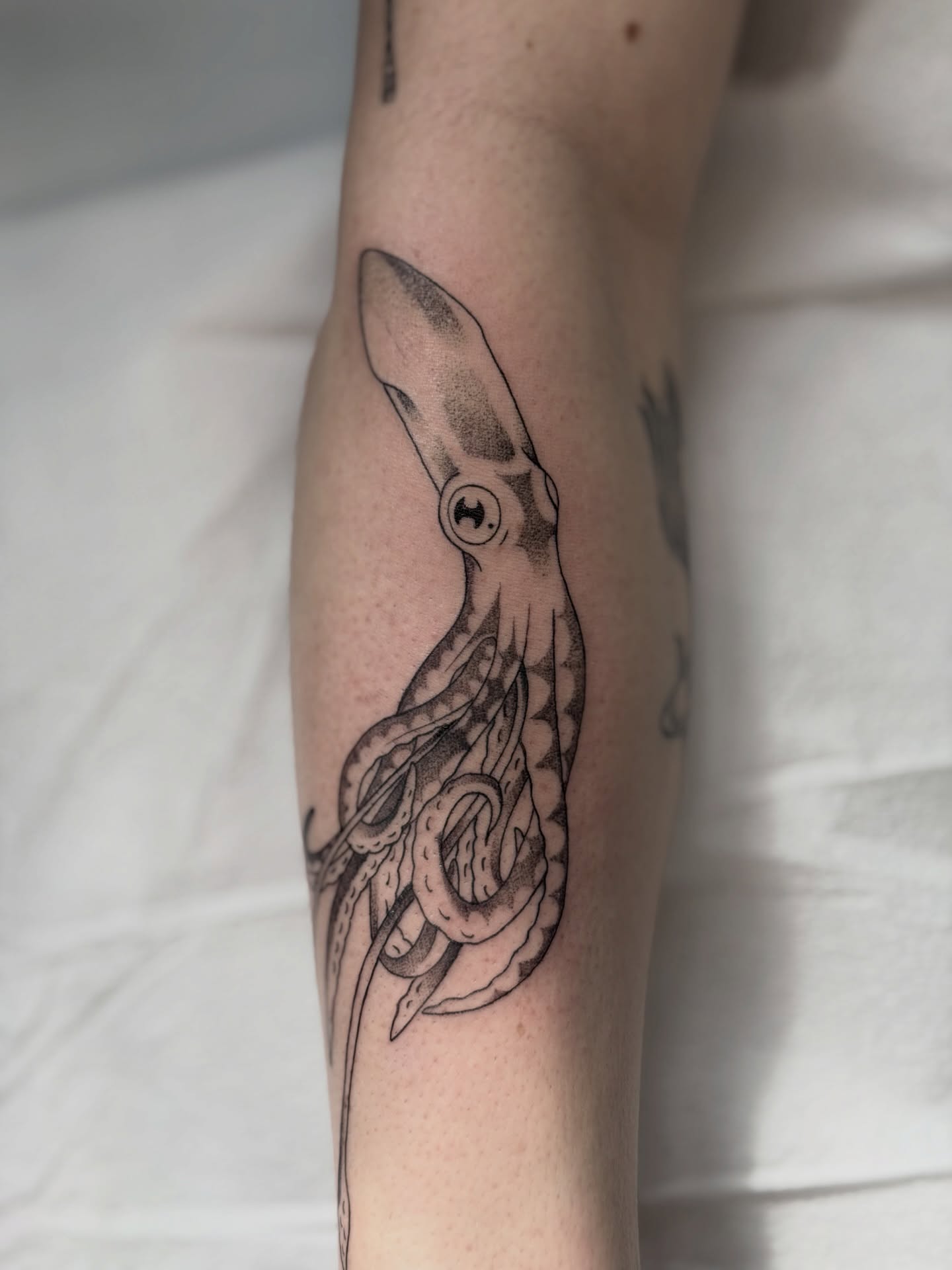 Squid dotwork tattoo on the forearm by Kailey Ru, Knoxville, Tennessee