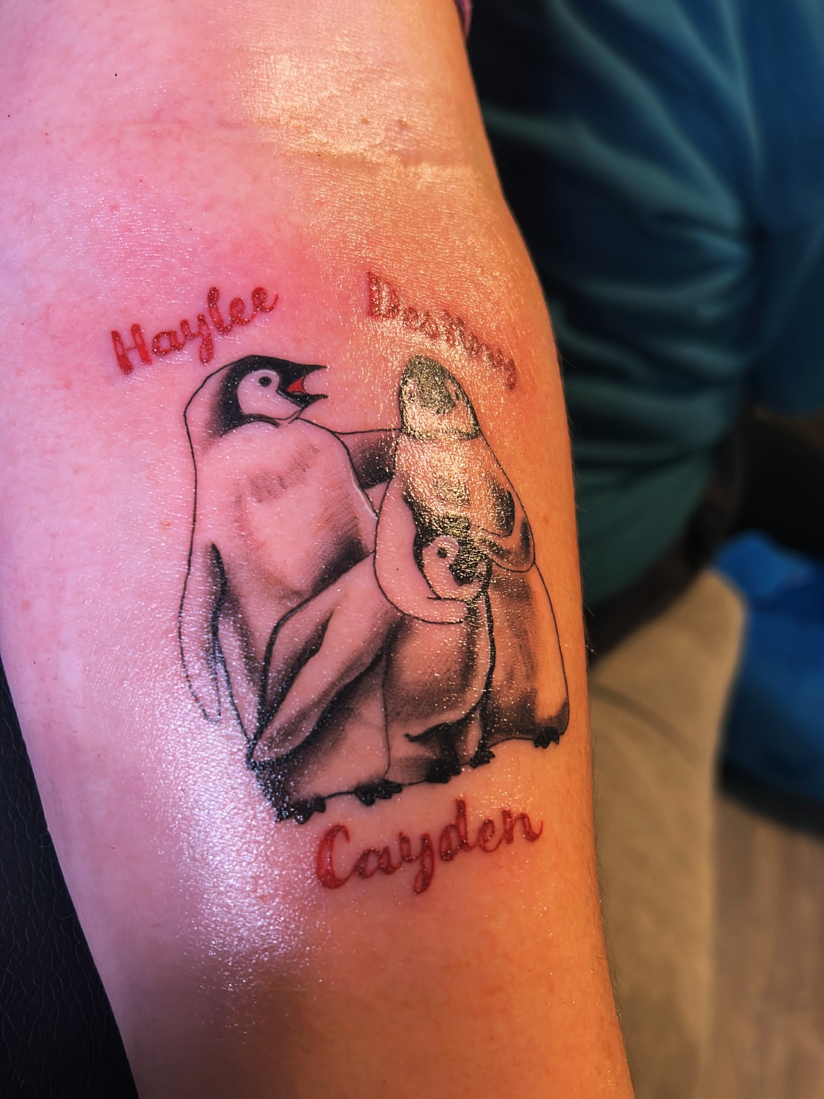 Penguins black and grey tattoo on the forearm by Tito Cross ❤️‍🔥