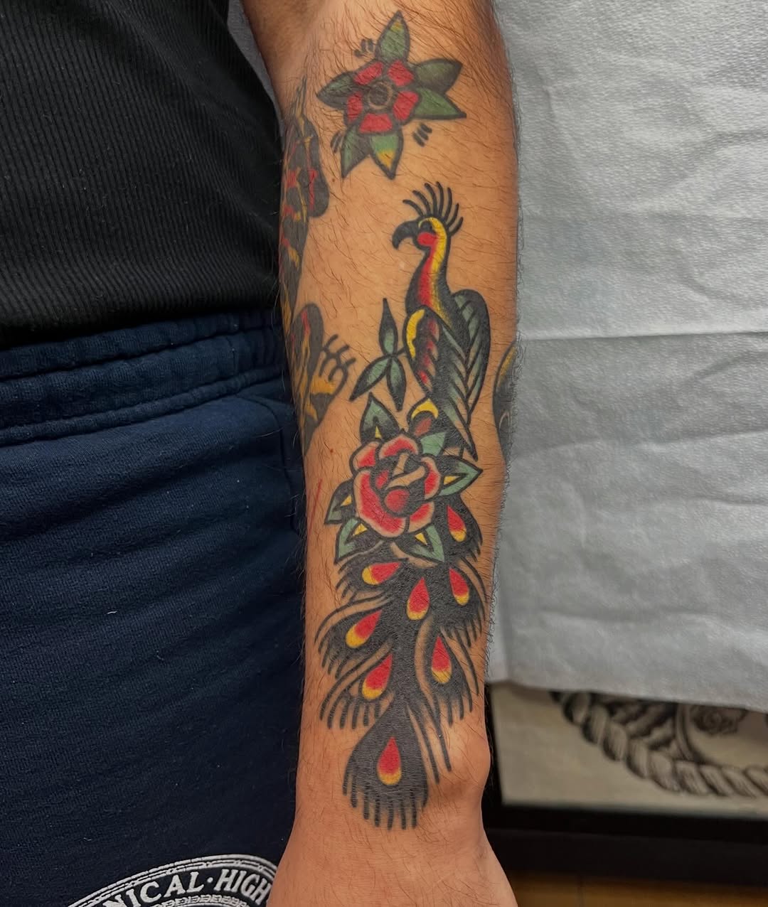 Tattoo by @bones_tattooer — american_traditional