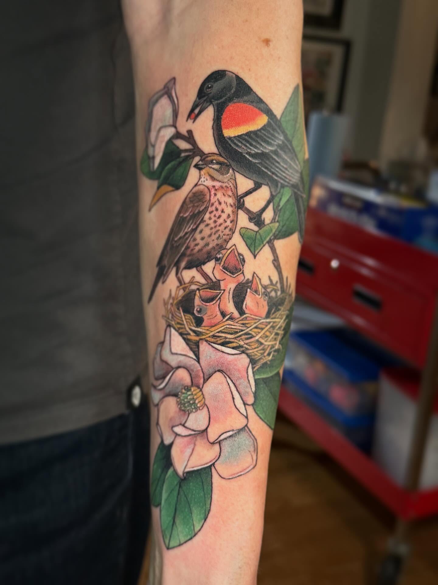 Red-winged blackbird family American traditional tattoo on the forearm by Katy Bisby
