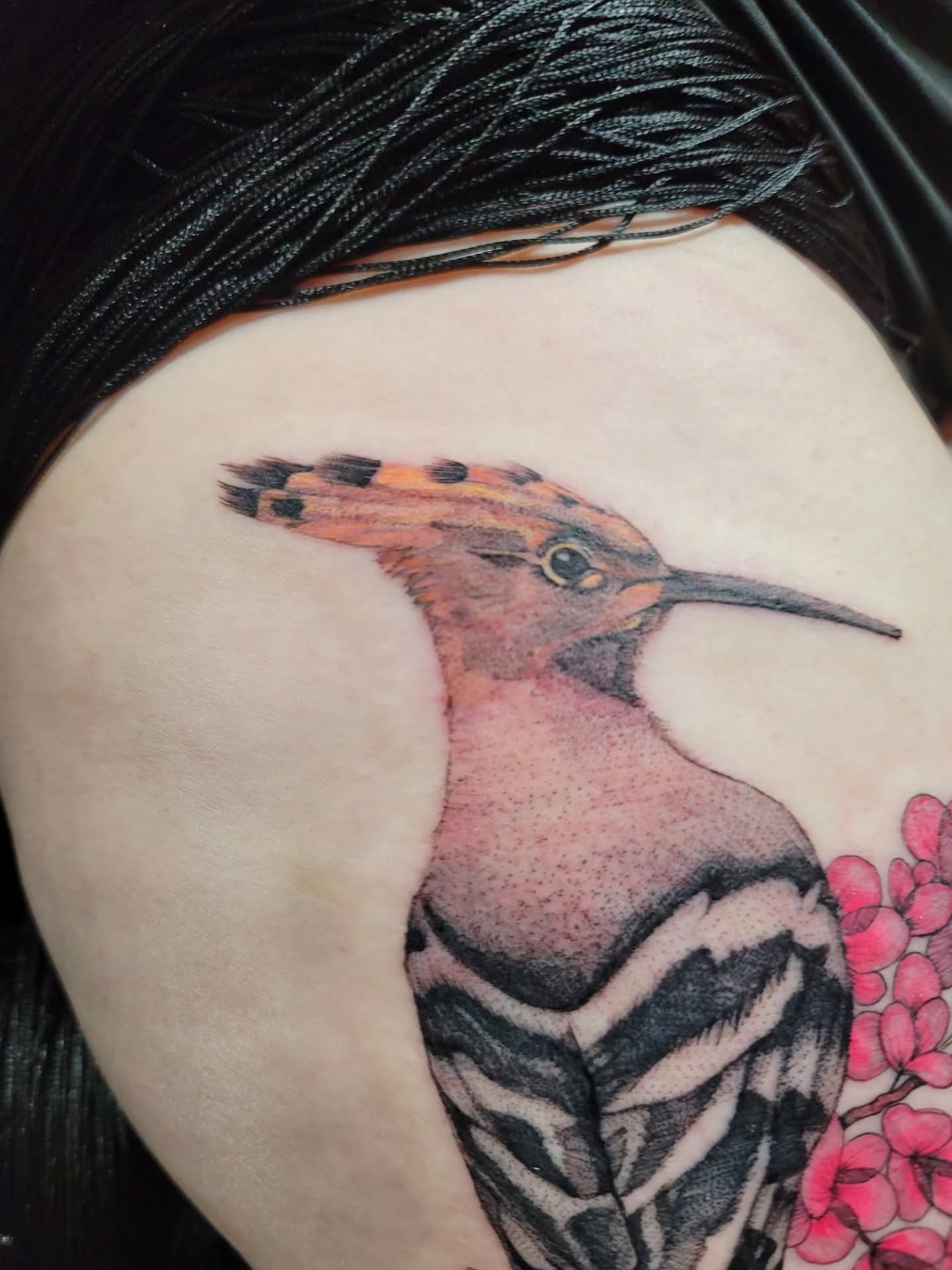 Hoopoe bird realism tattoo on the shoulder by Mary Lefeau