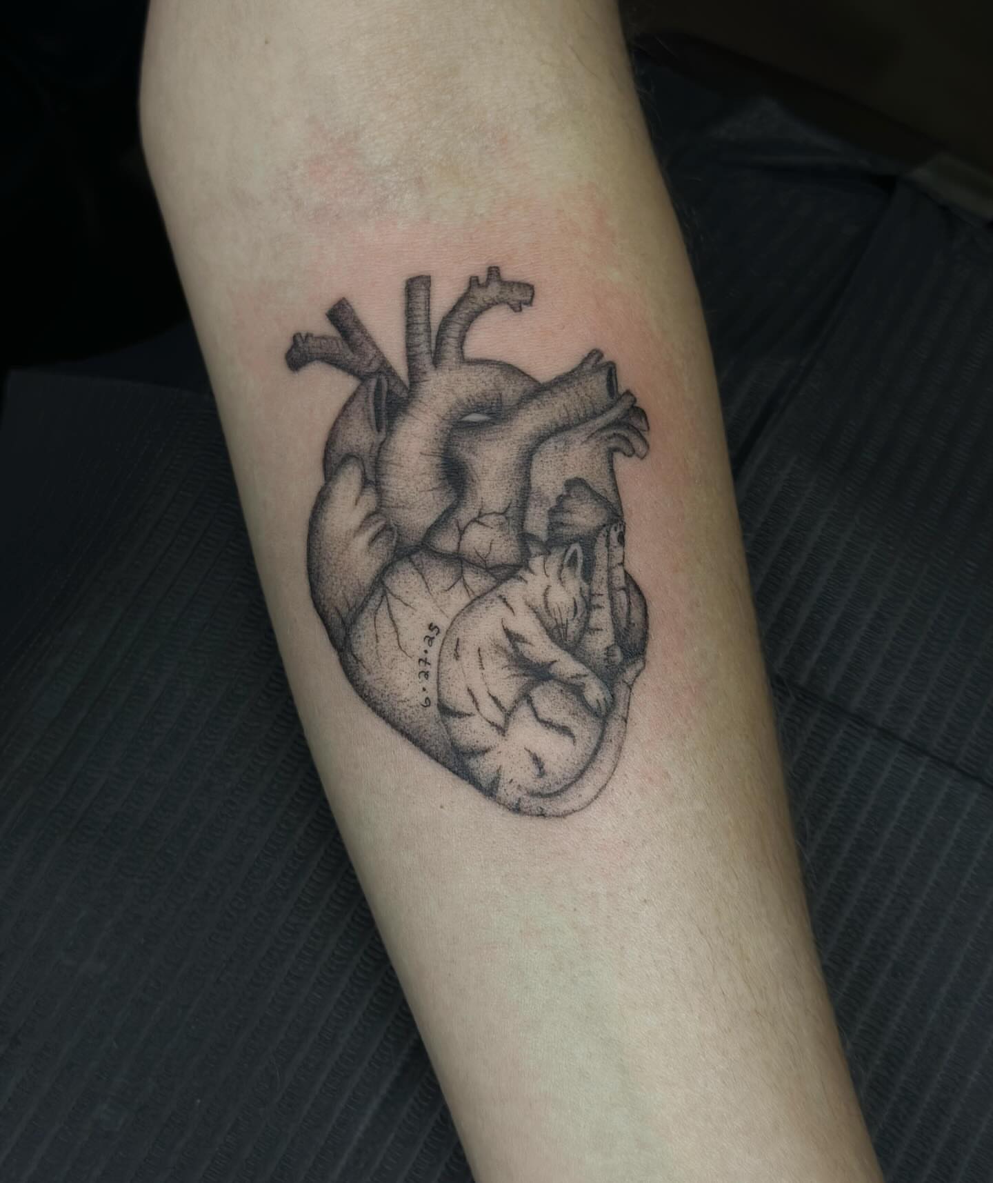 Anatomical heart black and grey tattoo on the forearm by kenna
