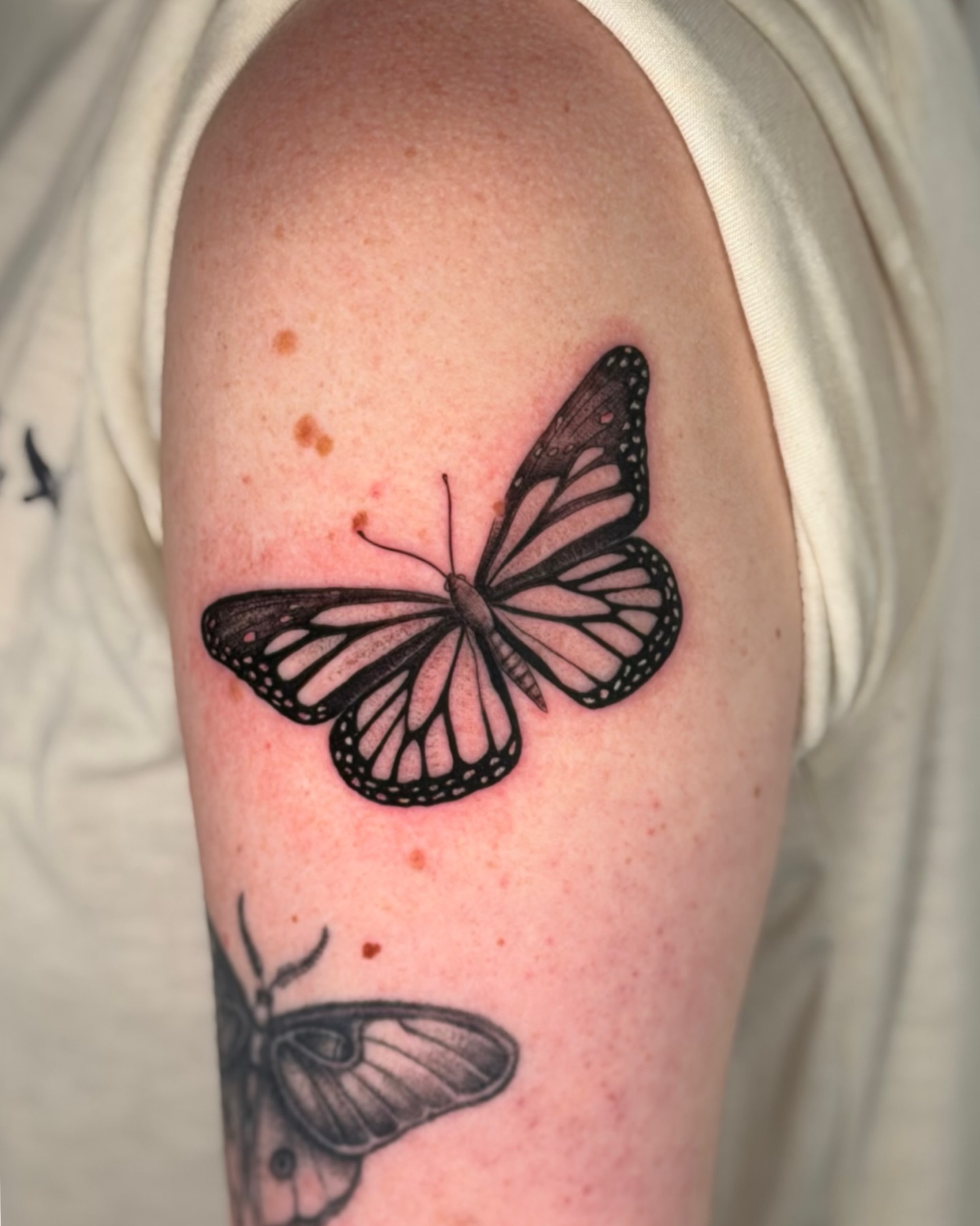 Tattoo by @finickyink — black_and_grey
