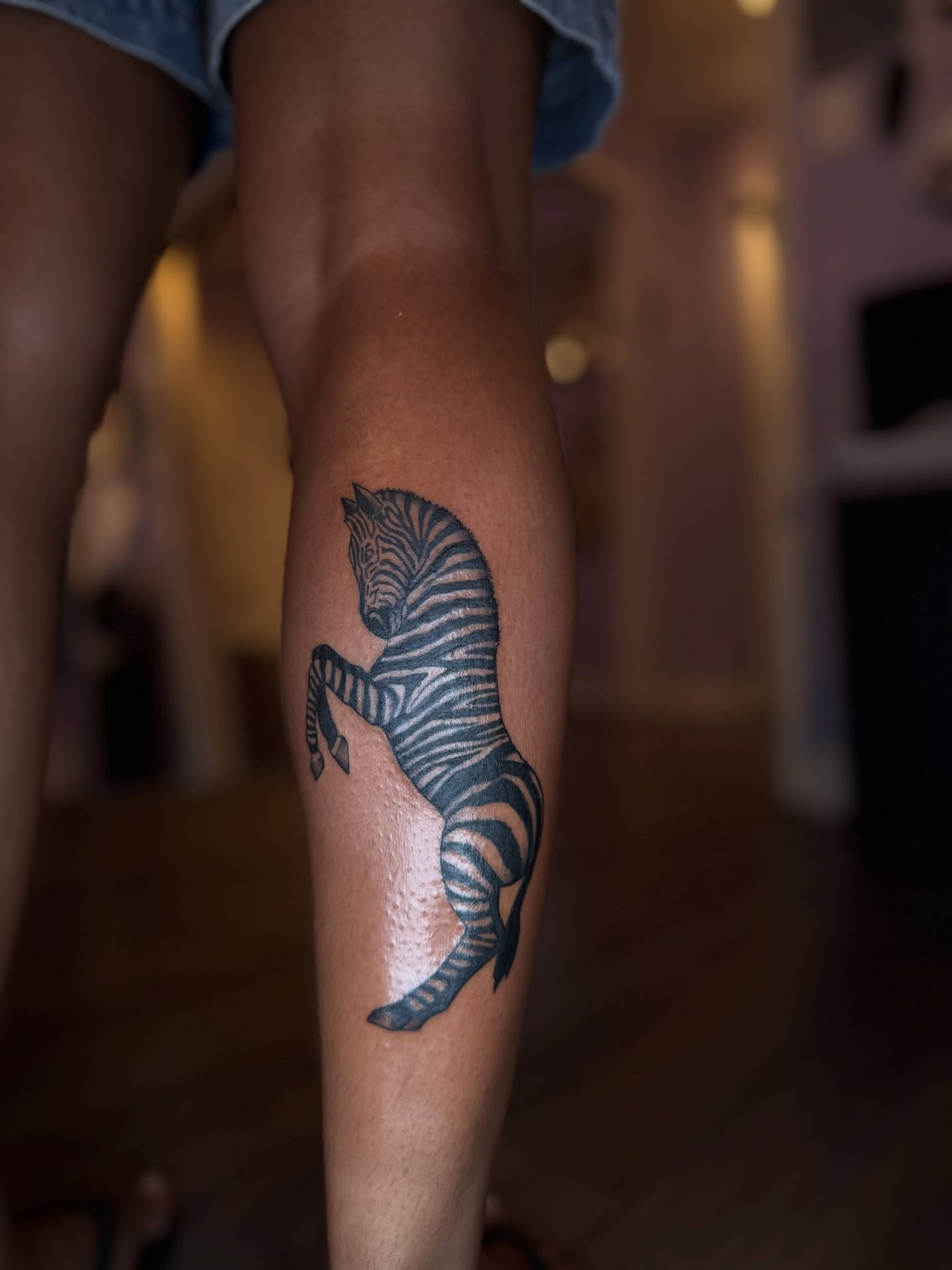 Zebra black and grey tattoo on the leg by Honey