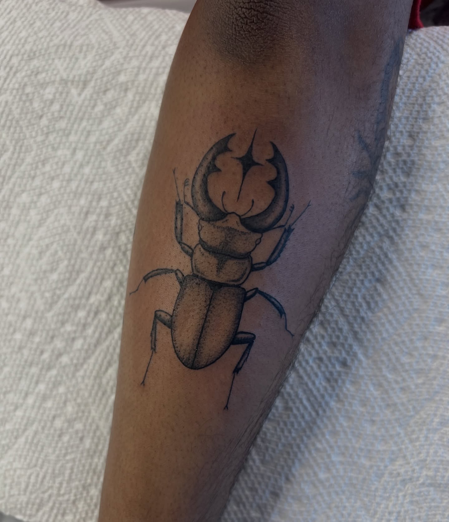 Stag beetle realism tattoo on the forearm by ✶ H A N N A H K A y ✶