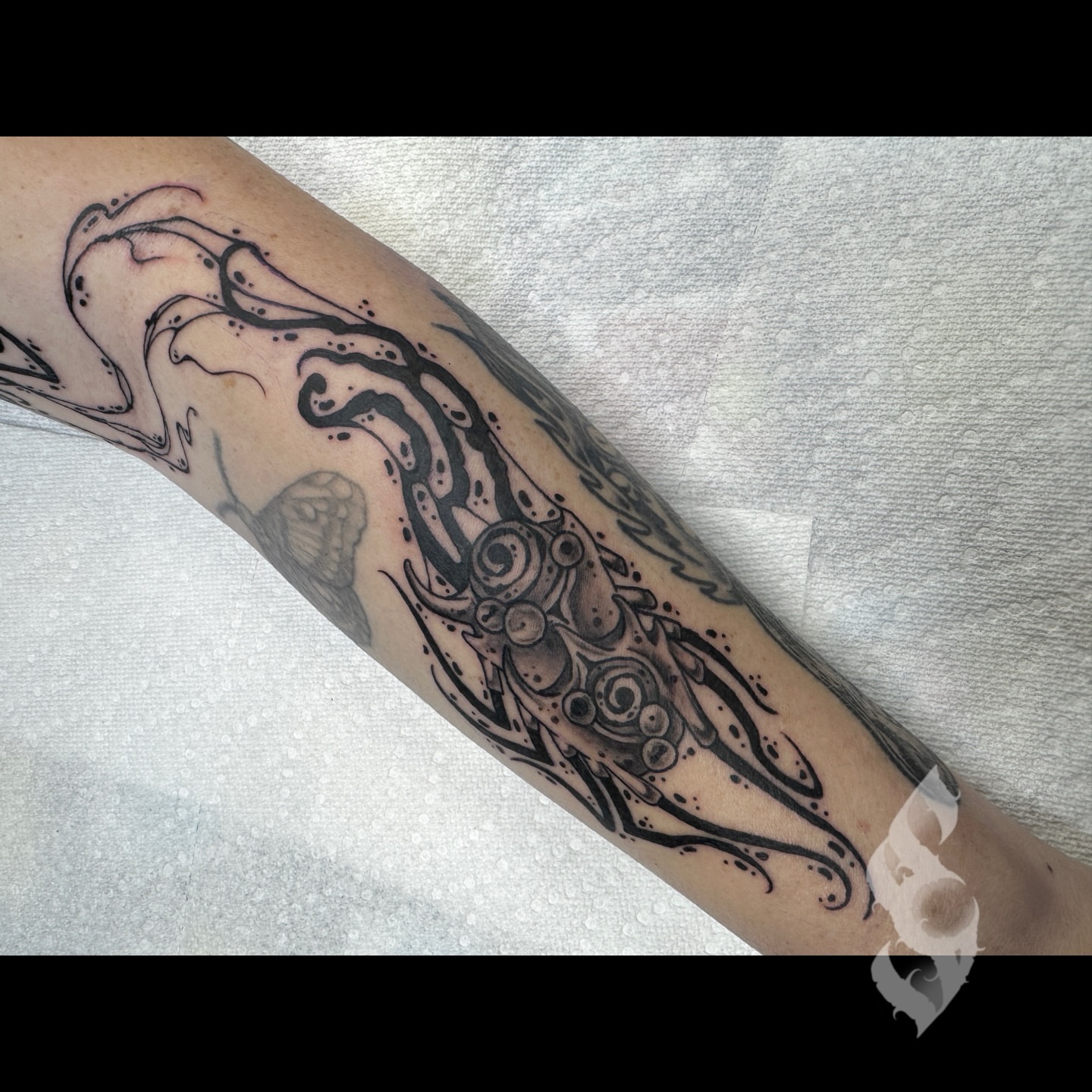 Squid black and grey tattoo on the forearm by Amanda Stampfly