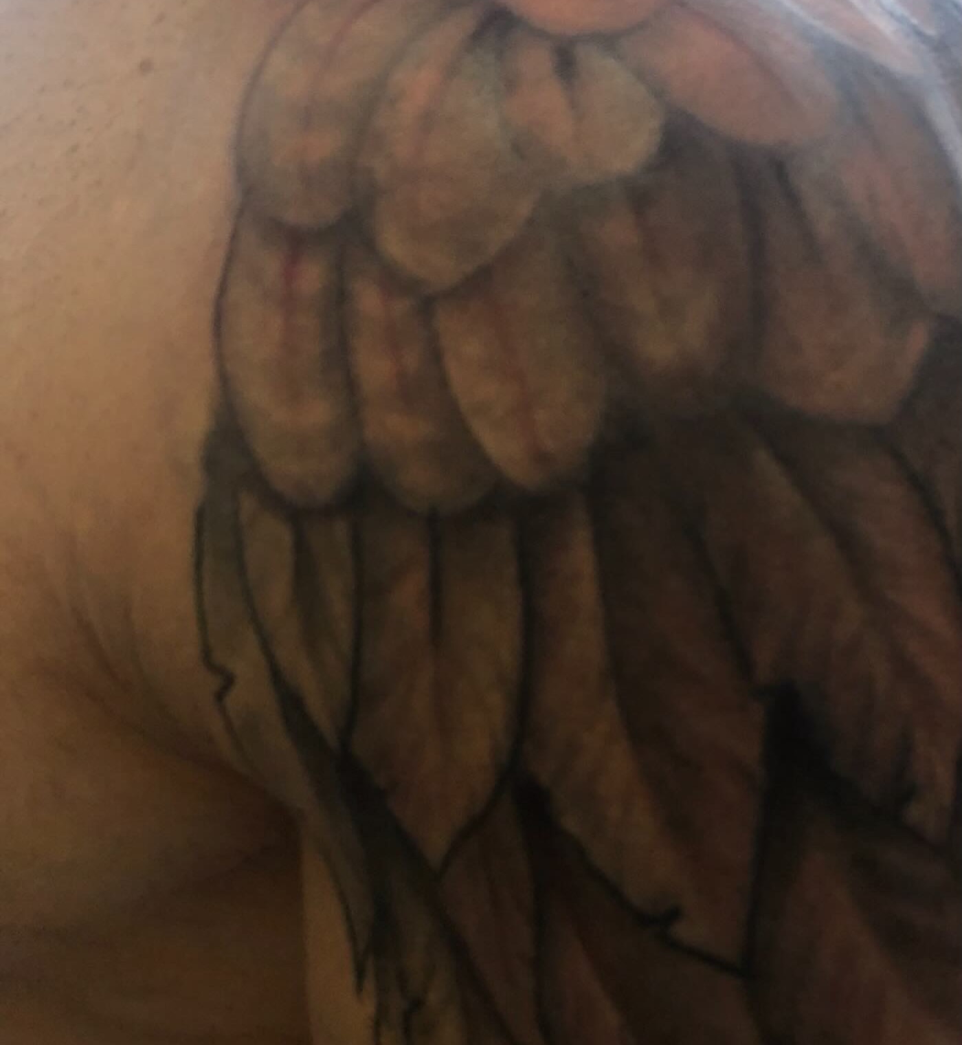 Wing neo-traditional tattoo on the back by @juiceinkythings