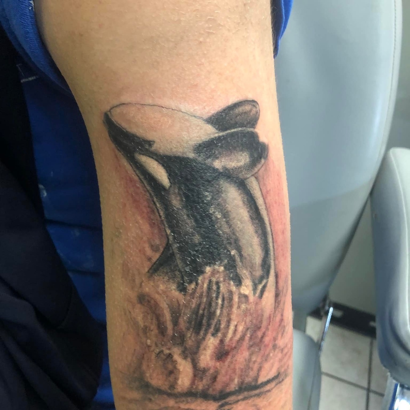 Orca whale realism tattoo on the forearm by @juiceinkythings