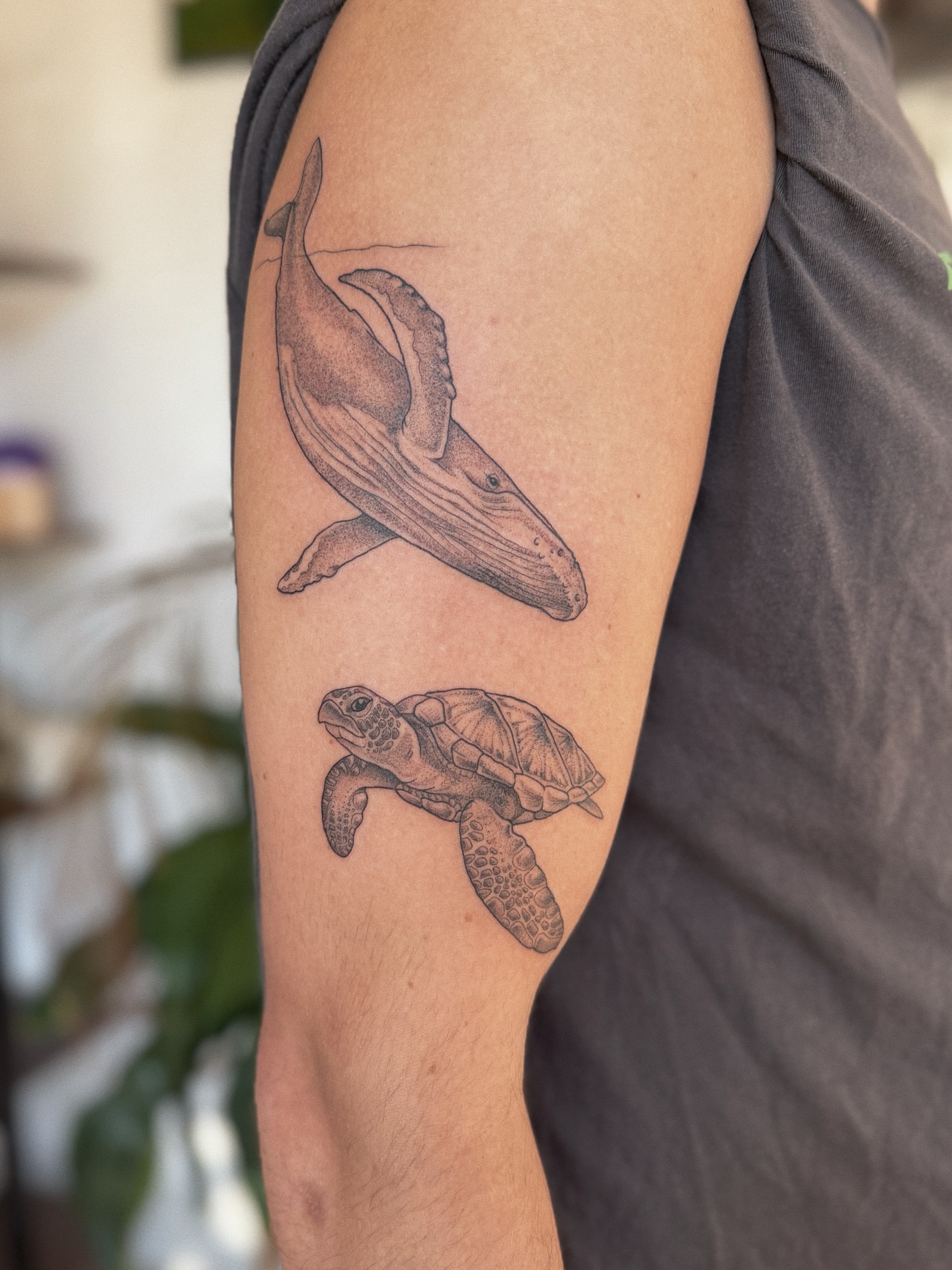 Whale and turtle black and grey tattoo on the forearm by 𝕵𝖊𝖘𝖘𝖎𝖈𝖆 𝕰𝖑 (raleigh tattoo artist)
