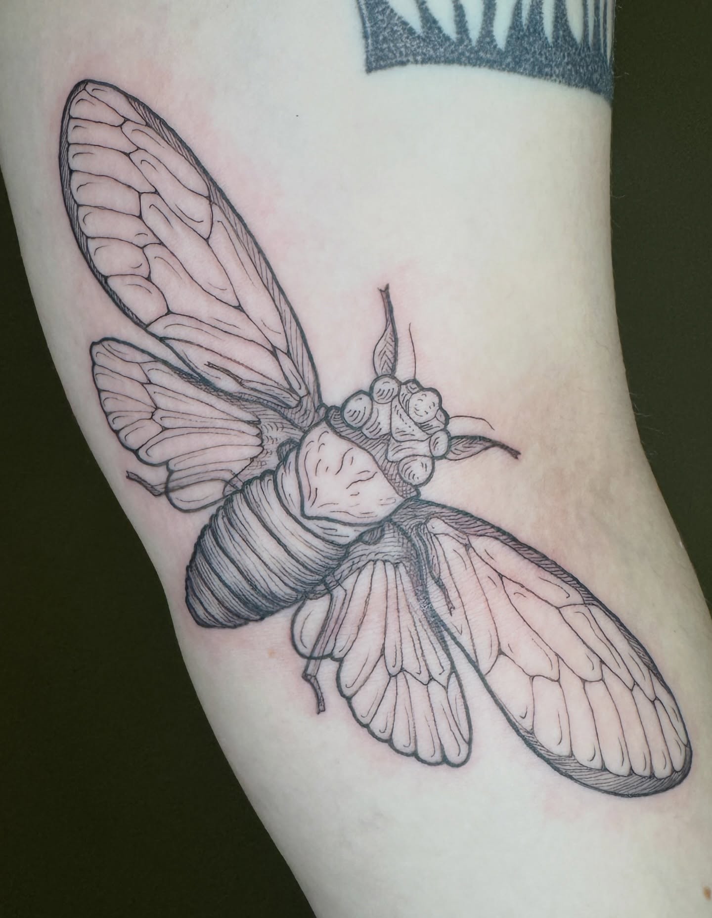 Moth black and grey tattoo on the forearm by Lora Bird