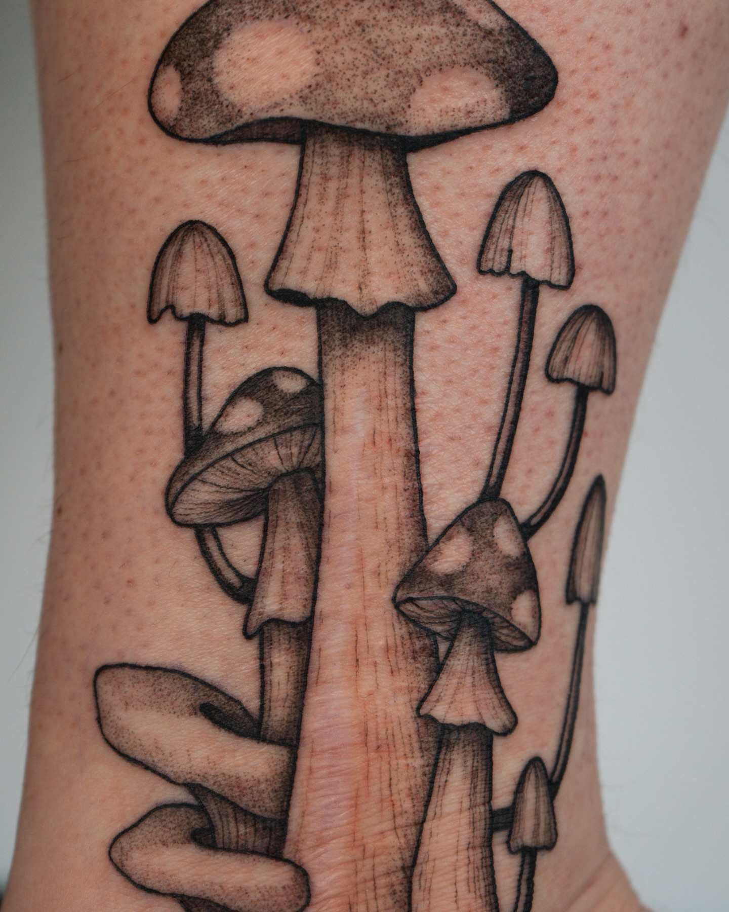 Mushroom cluster dotwork tattoo on the forearm by Mikayla Sue