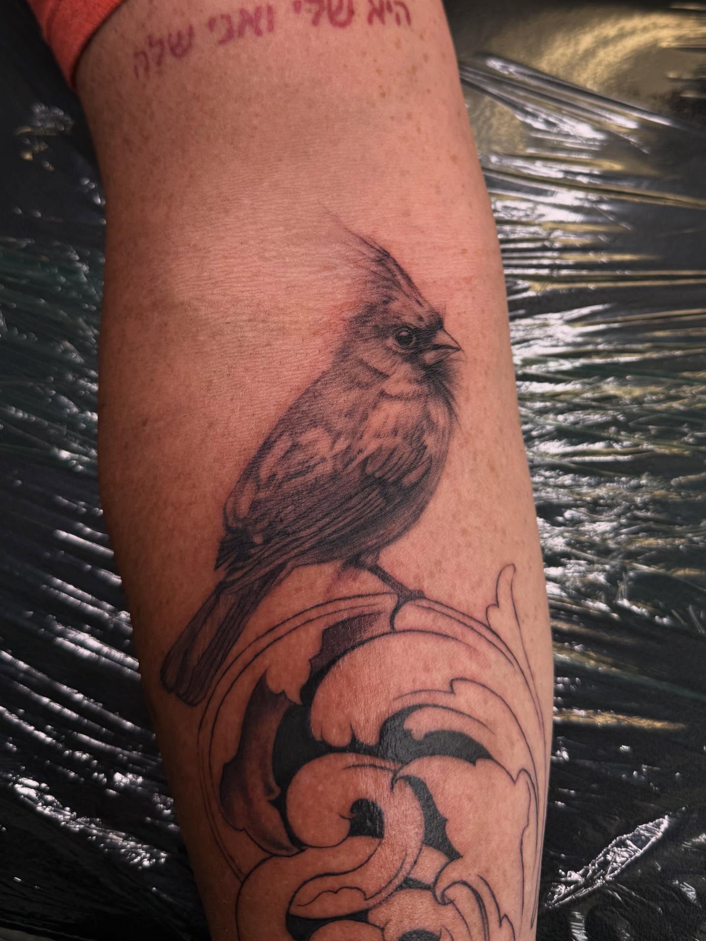 Cardinal bird realism tattoo on the forearm by 📍 Austin
