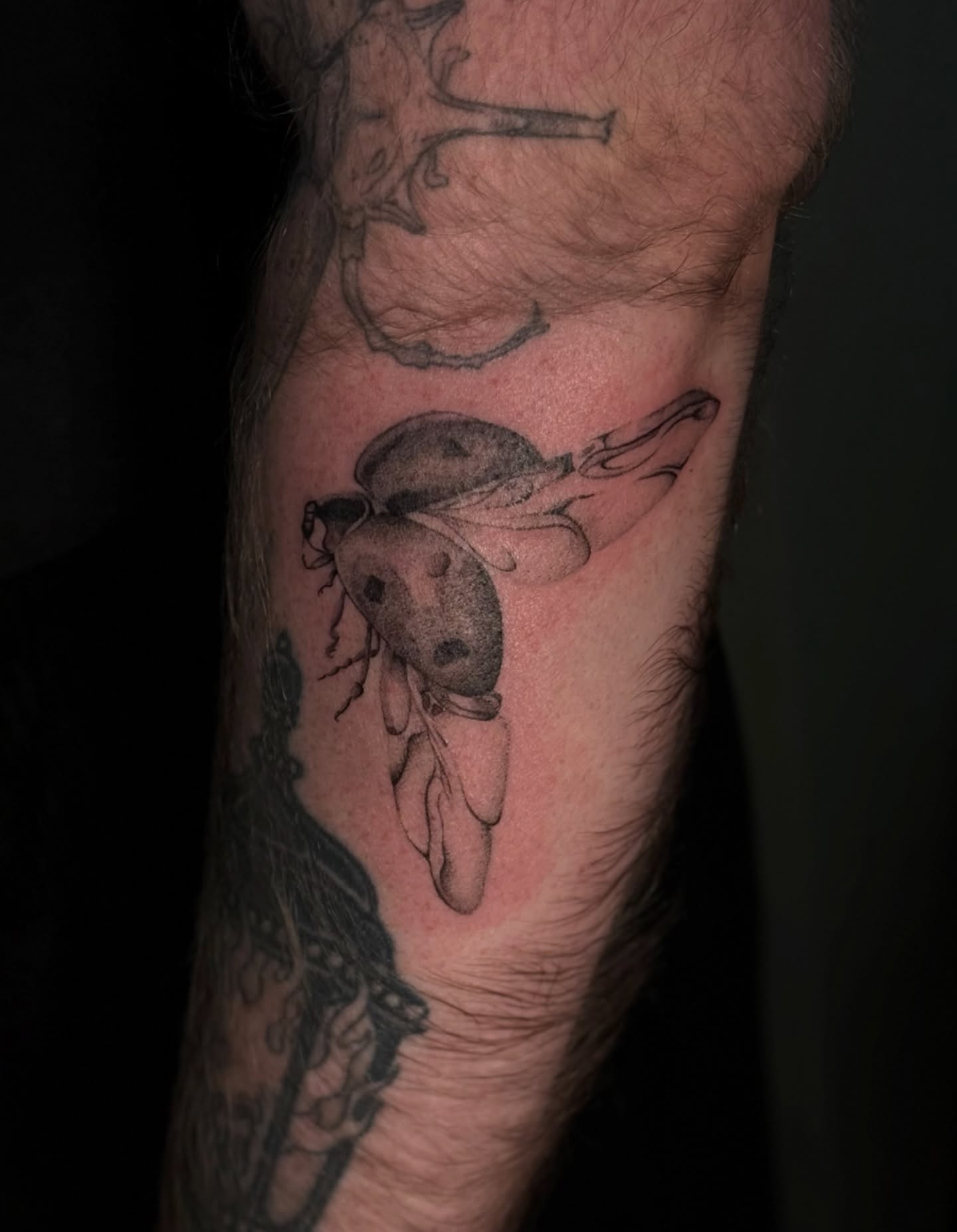 Tattoo by @tattedwithjaz β realism
