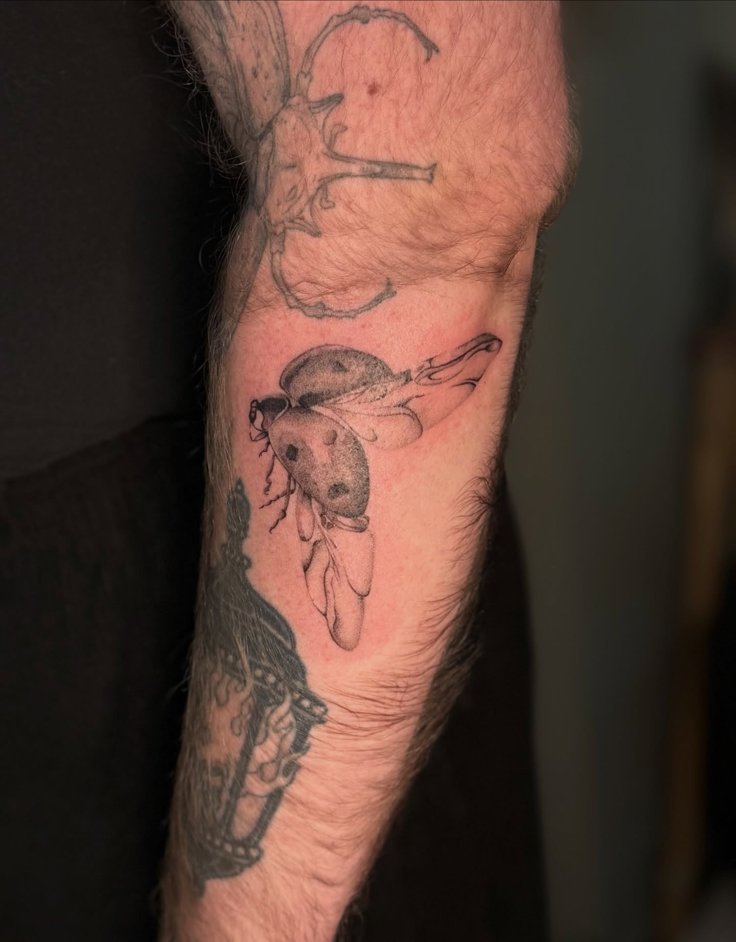 Tattoo by @tattedwithjaz β black_and_grey