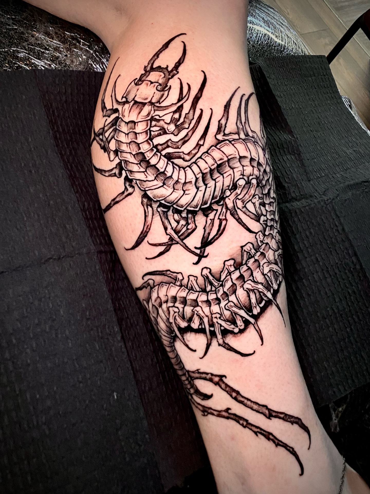 Centipede black and grey tattoo on the thigh by Adam Newton