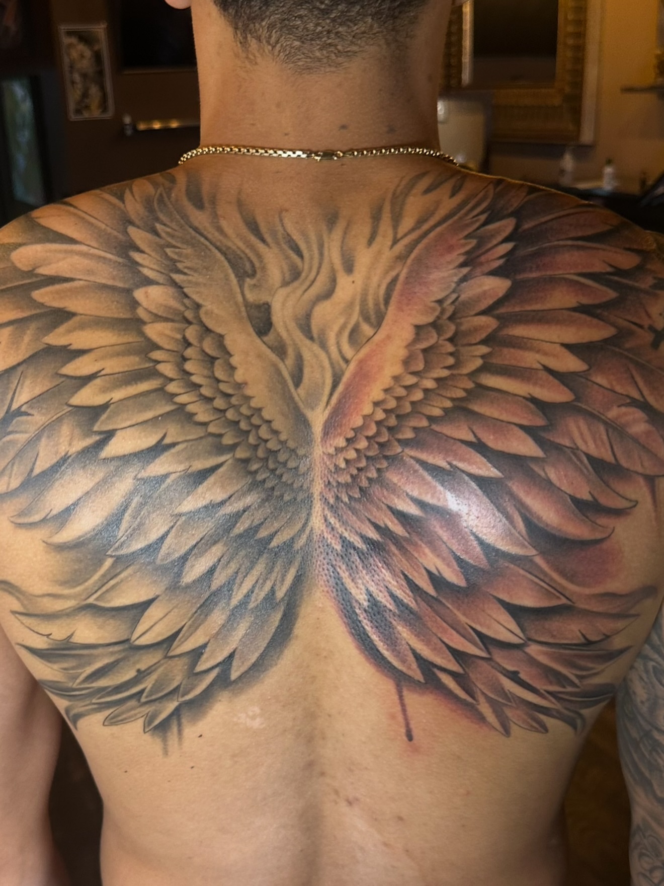 Wings realism tattoo on the back by Jevon Glasco Tattoos