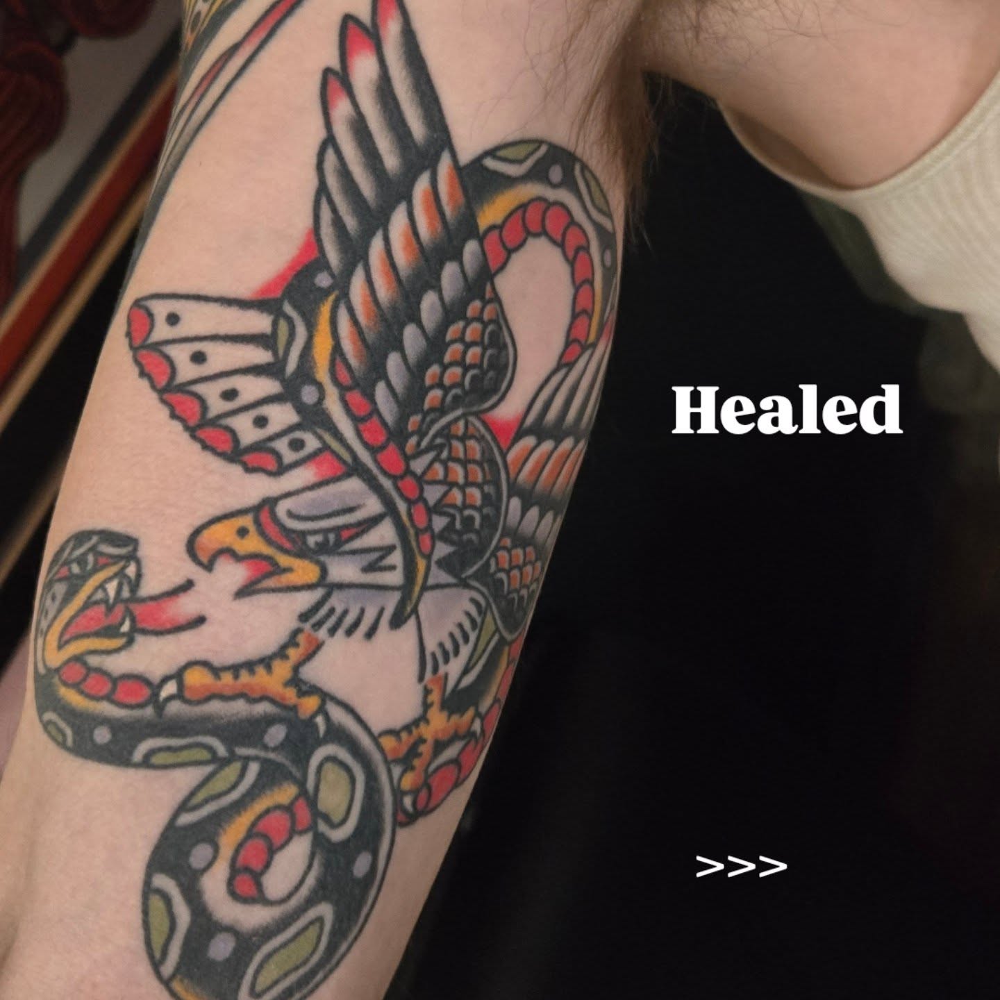 Eagle and snake American traditional tattoo on the forearm by Brenn