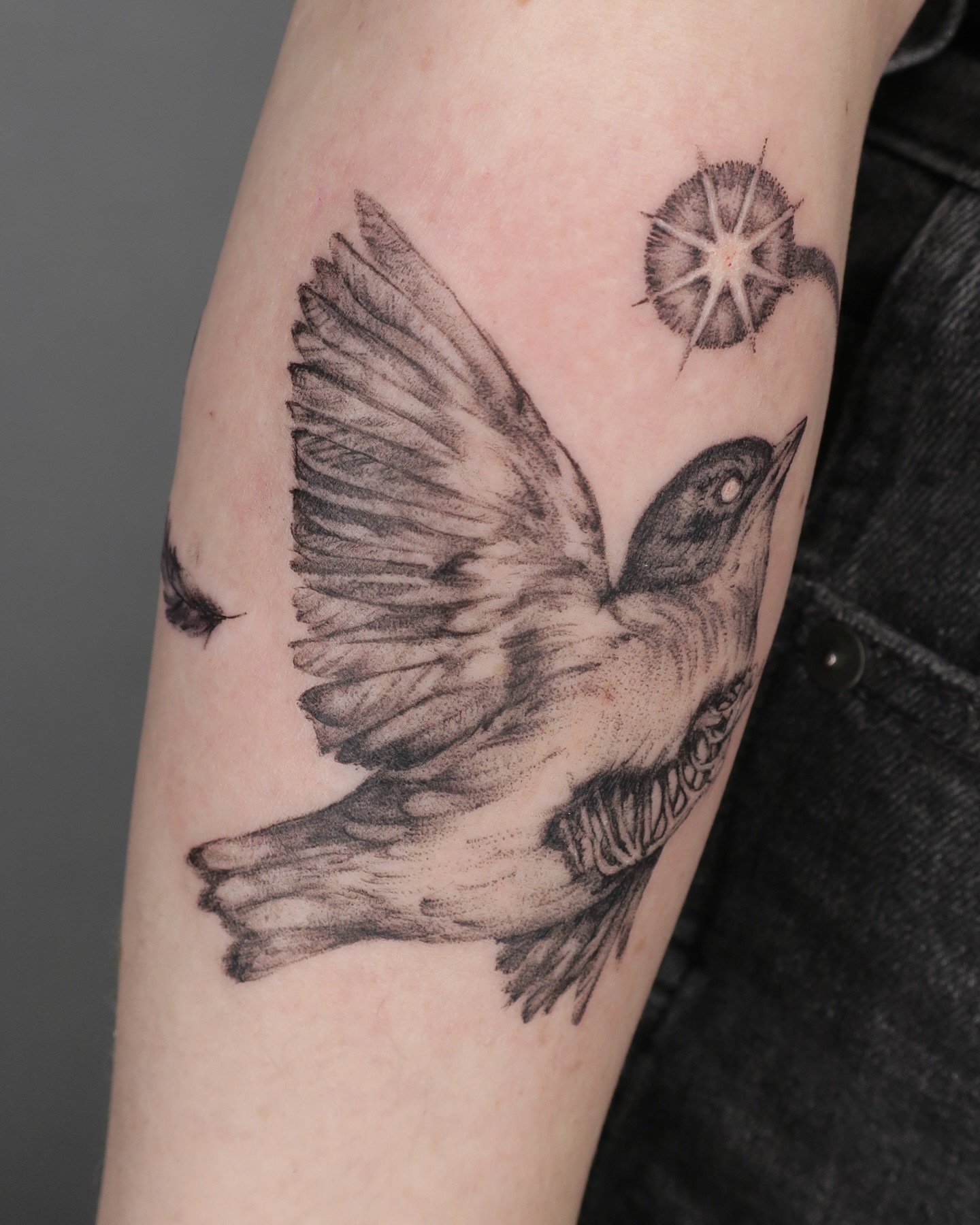 Bird realism tattoo on the forearm by Olivia