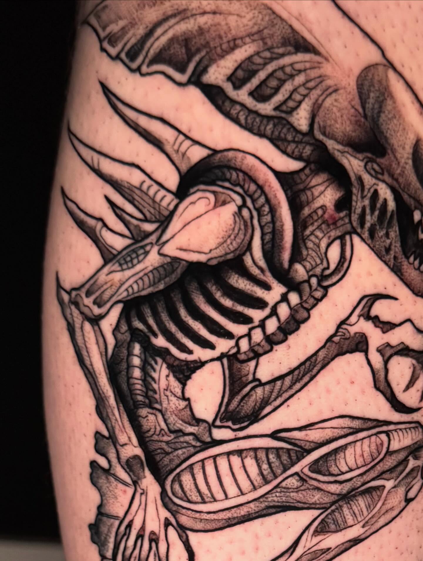 Skeleton realism tattoo on the upper arm by Kayla Rosencrans