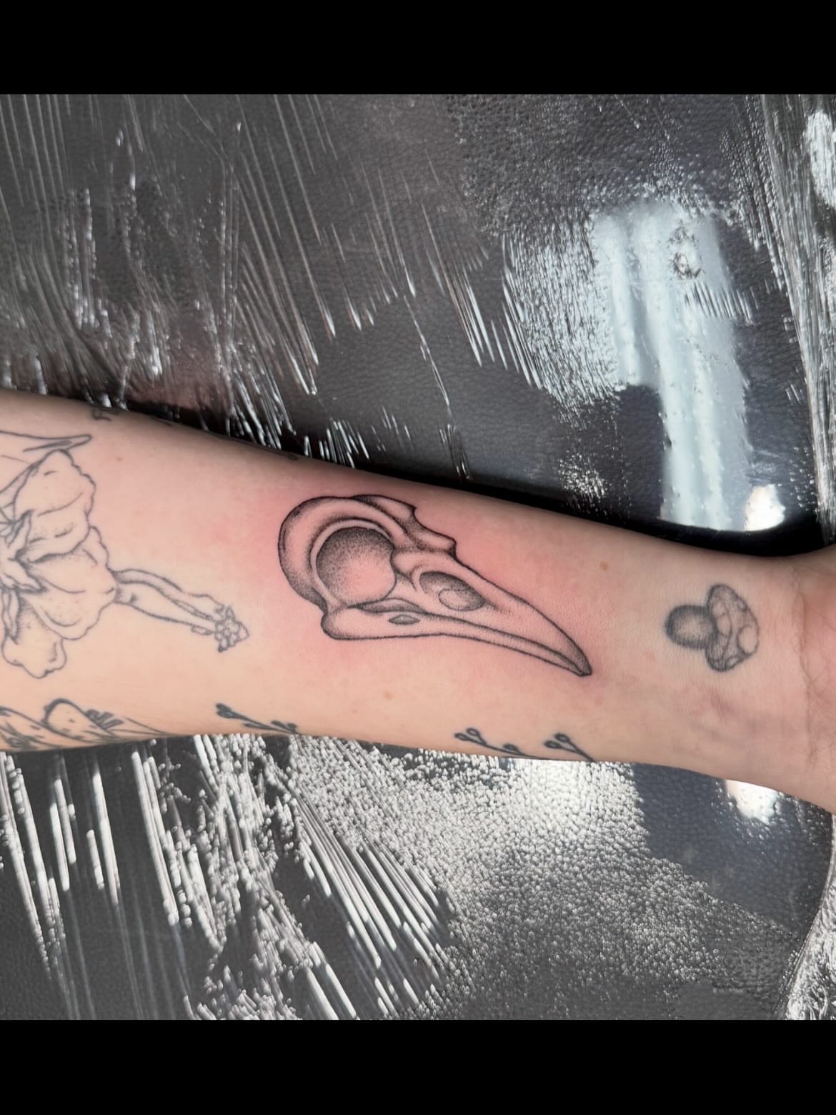 Bird skull black and grey tattoo on the forearm by Shay - Mandeville Tattoo Artist