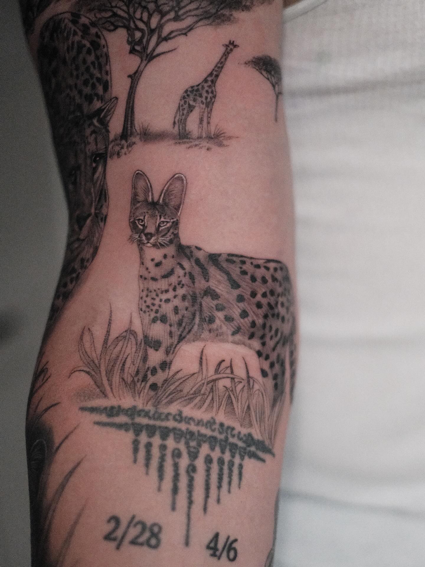 Wild cat realism tattoo on the forearm by Isabelle Kellar, San Diego, California