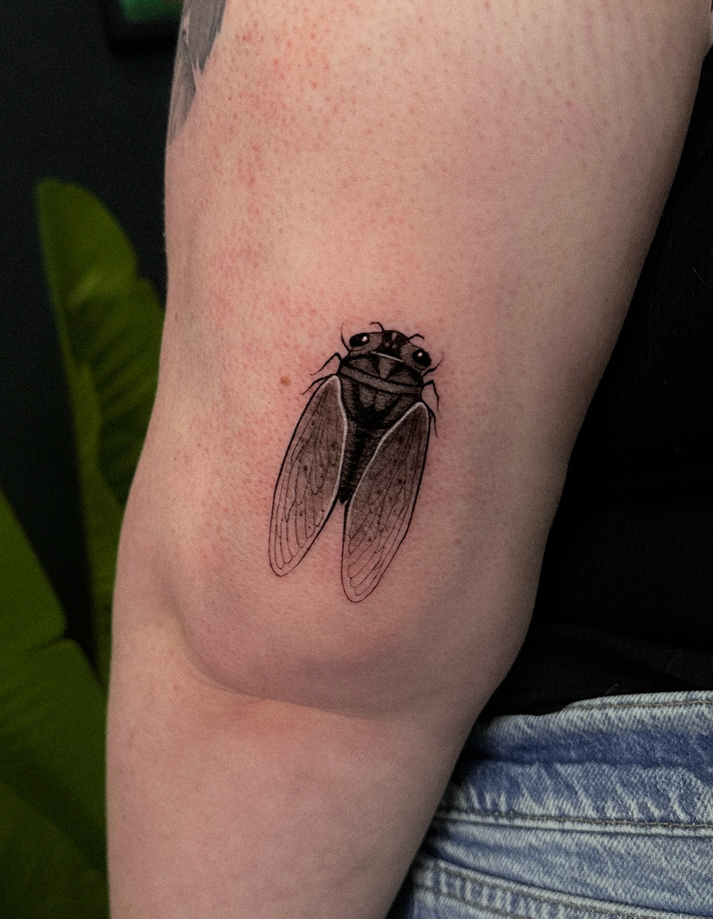 Cicada realism tattoo on the forearm by Tattoo Artist 👩🏻‍🎨 ATX