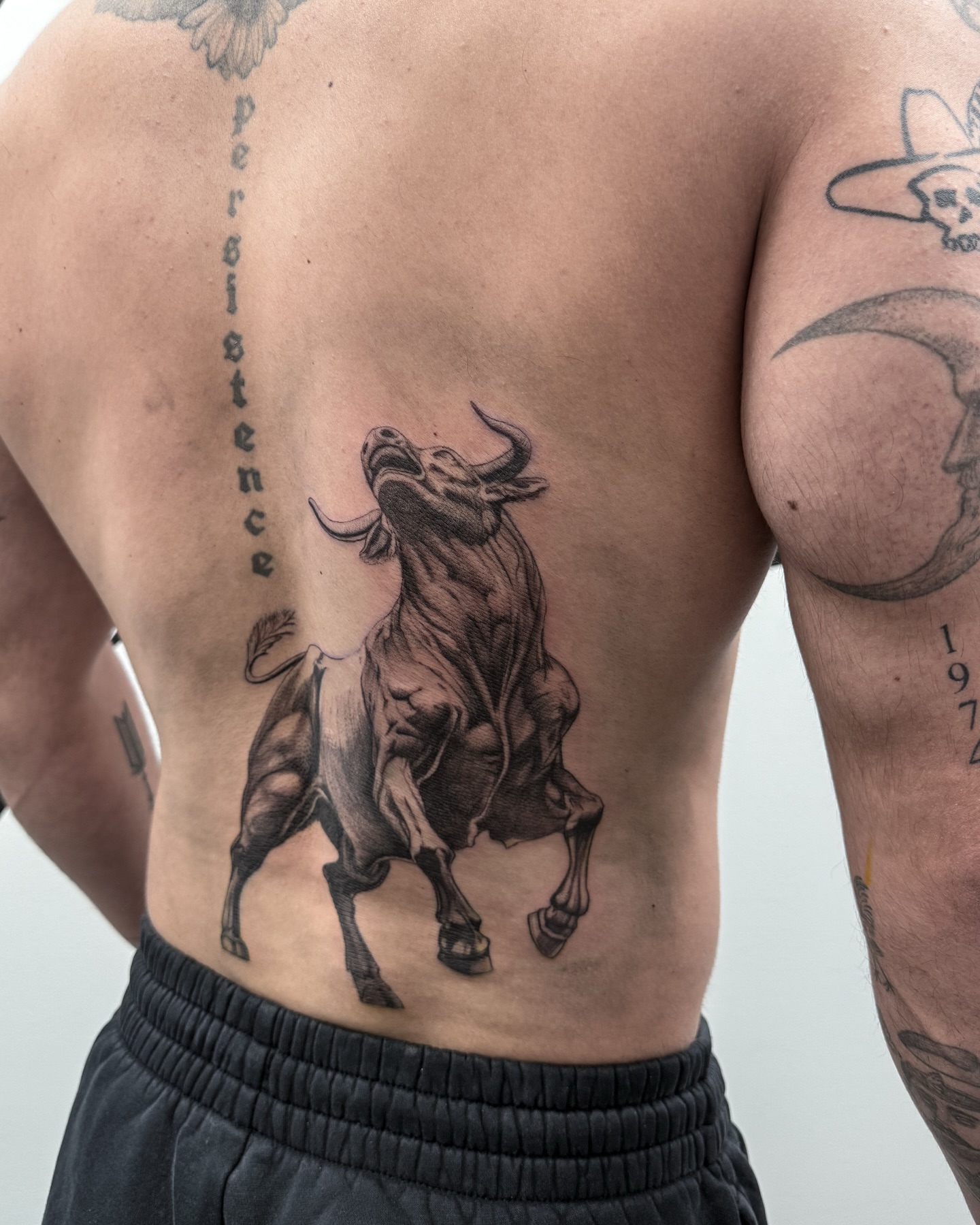 Bull black and grey tattoo on the back by Brows & Tattoos