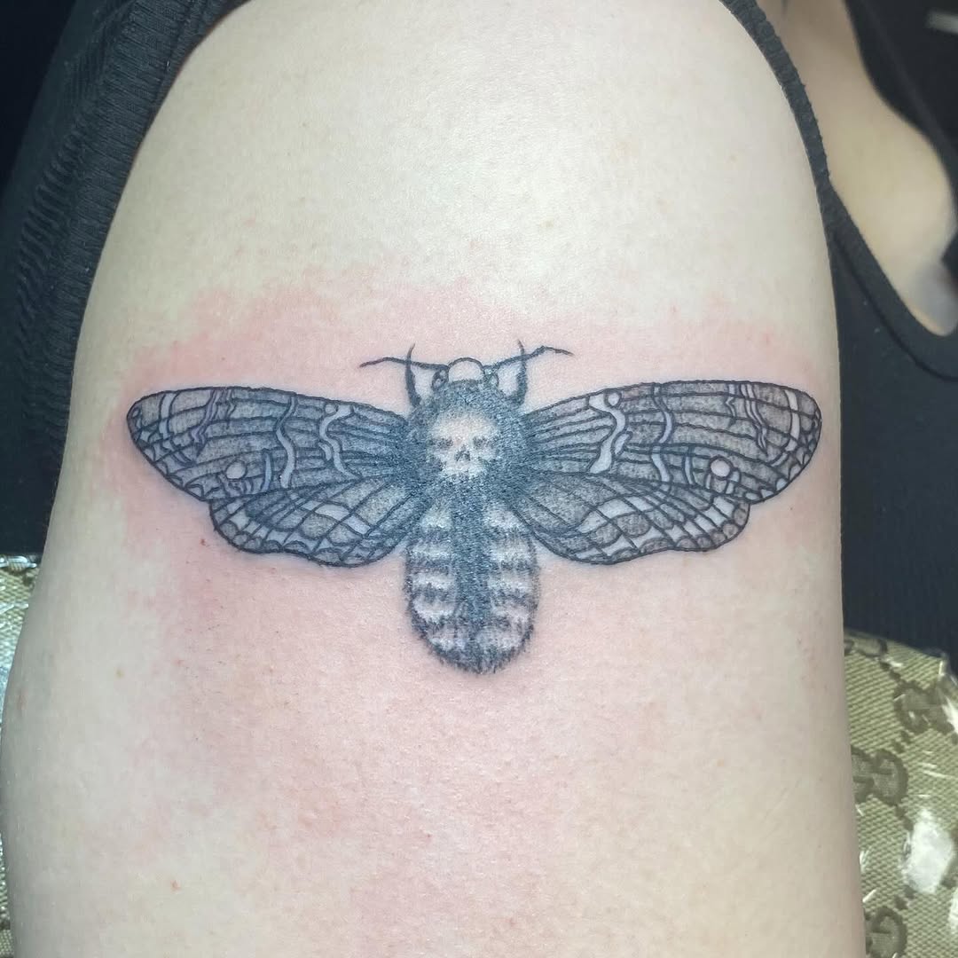 Death's-head hawkmoth with skull fine line tattoo on the shoulder by MD Ariel🦷