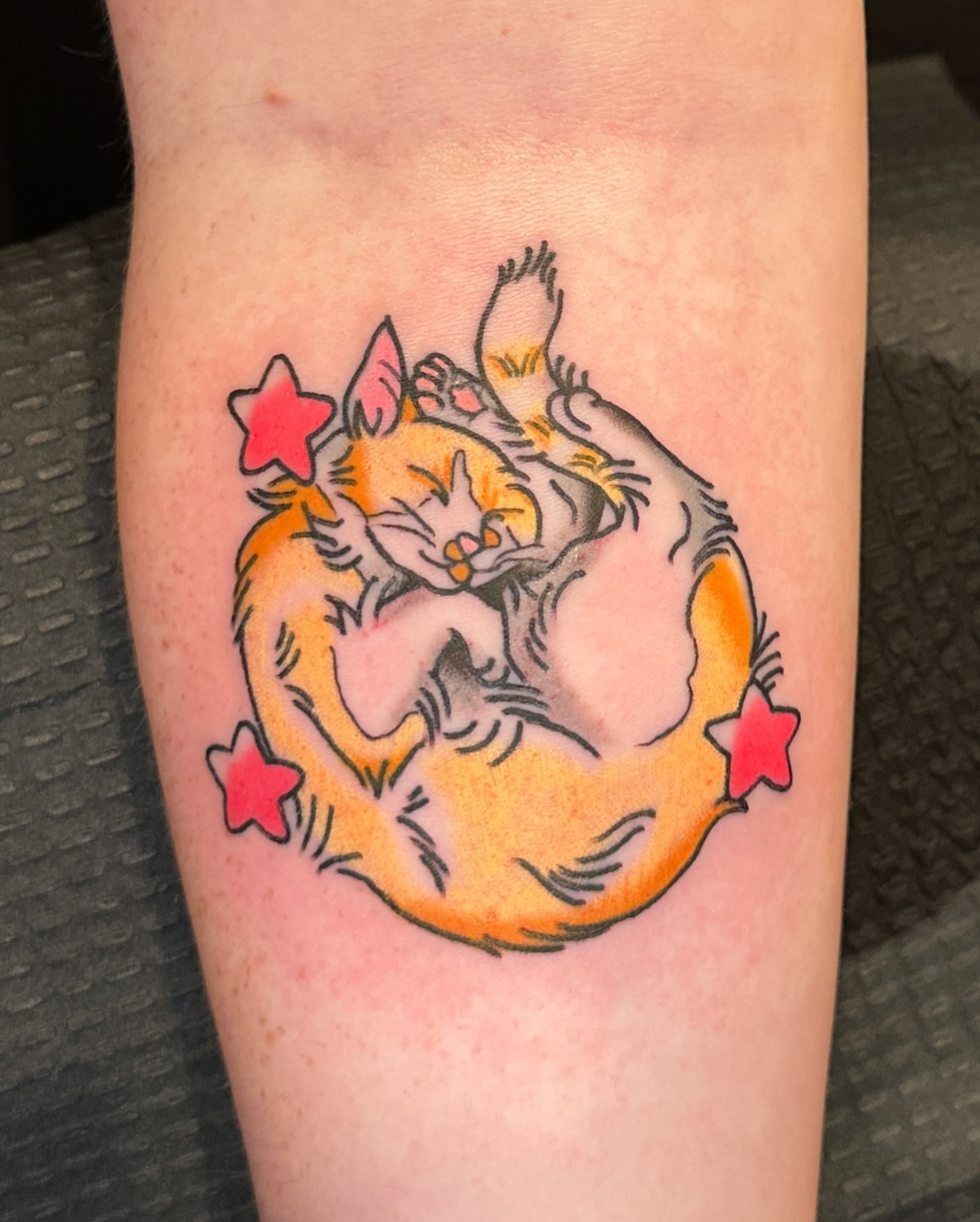 Cat new school tattoo on the forearm by Paige Ochoa
