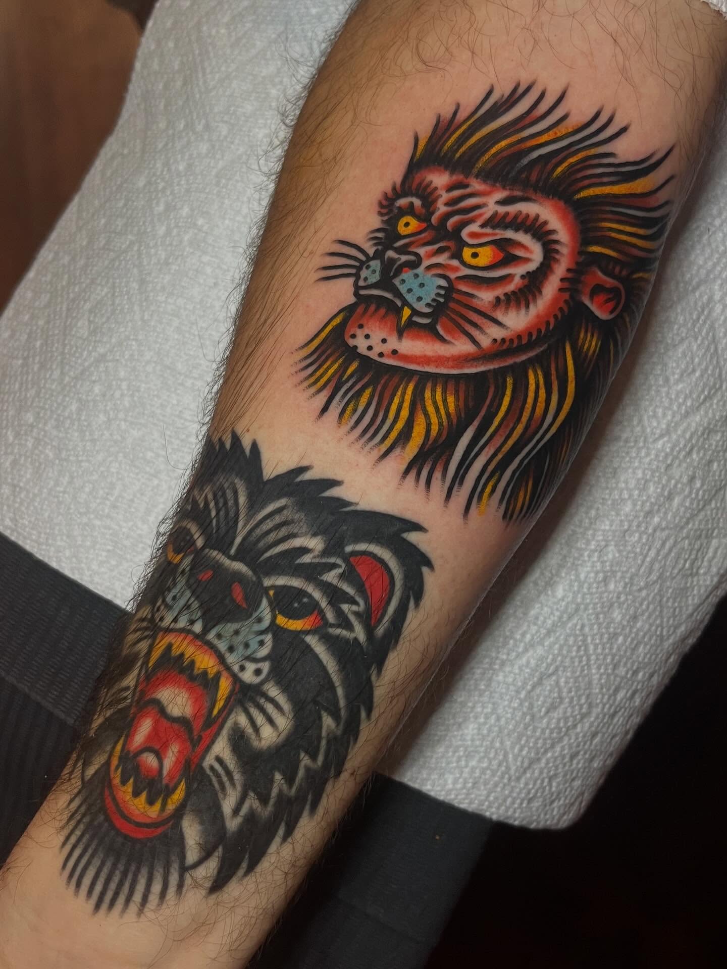 Lion and tiger heads American traditional tattoo on the forearm by Jake LiCausi