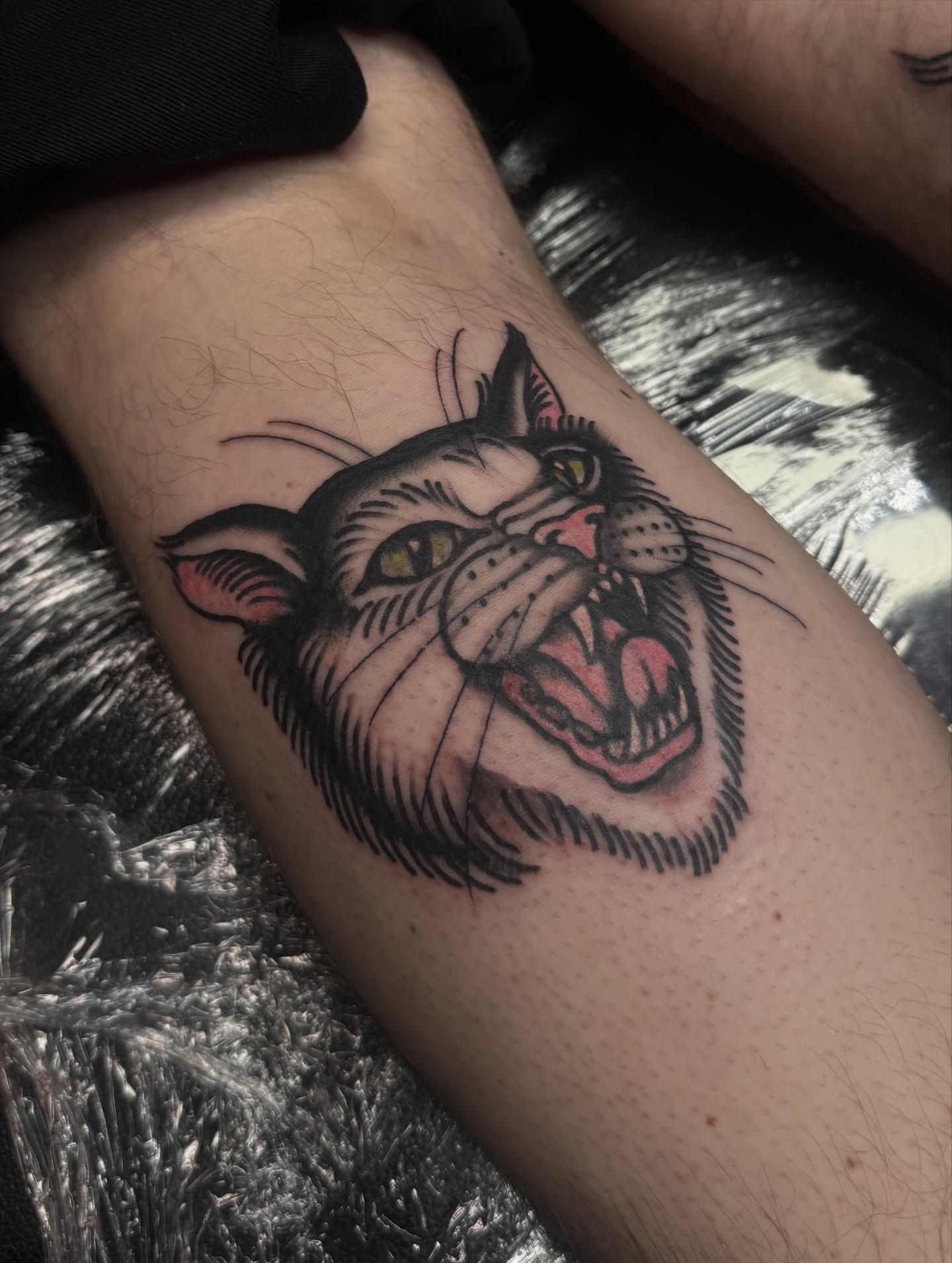 Angry cat American traditional tattoo on the forearm by Saffron Florea, Tiffin, Ohio