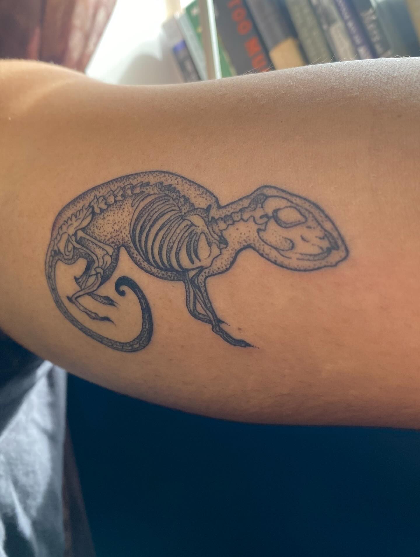 Lobster skeleton dotwork tattoo on the forearm by Jesikah Rapp
