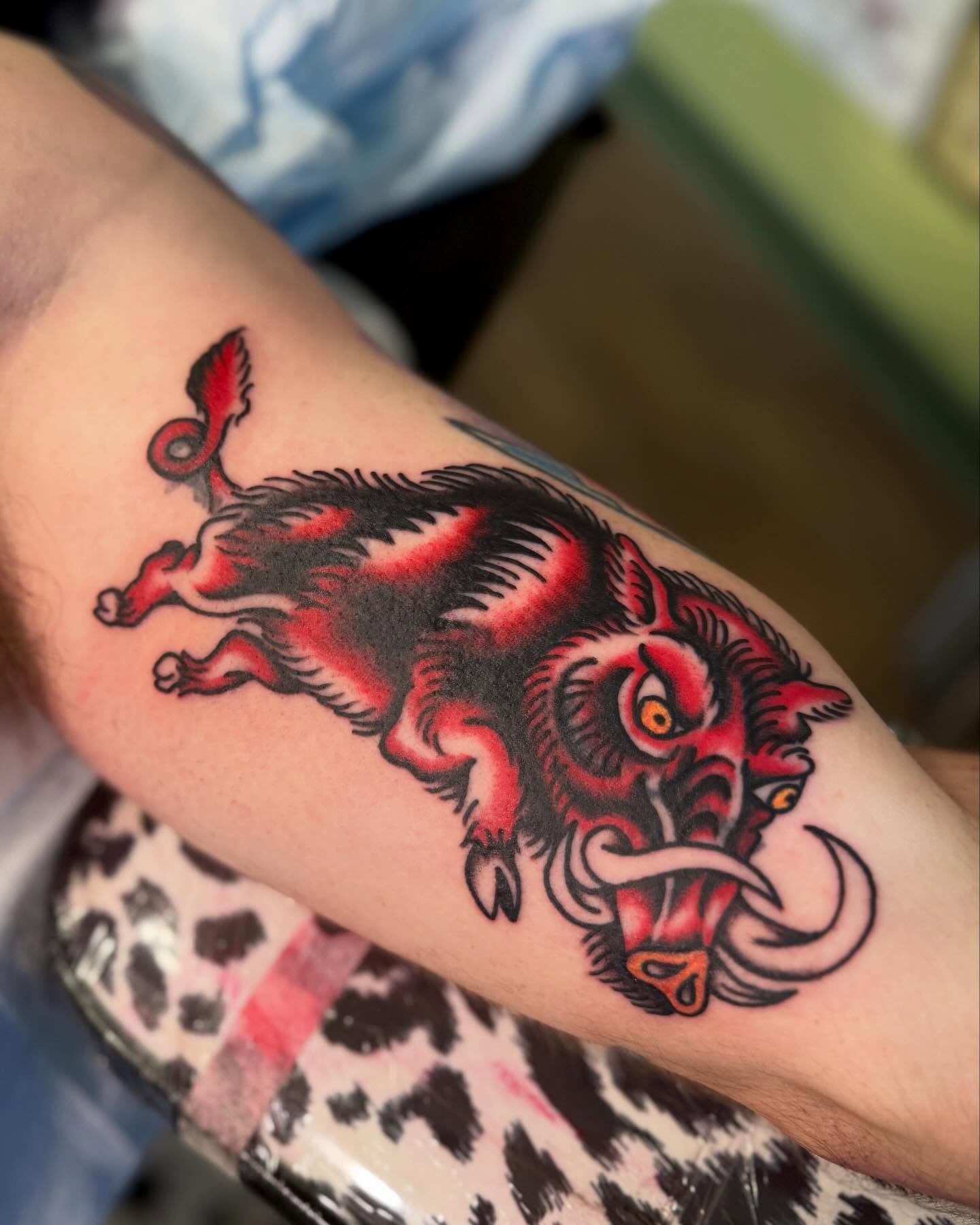 Boar American traditional tattoo on the forearm by Tia Cave