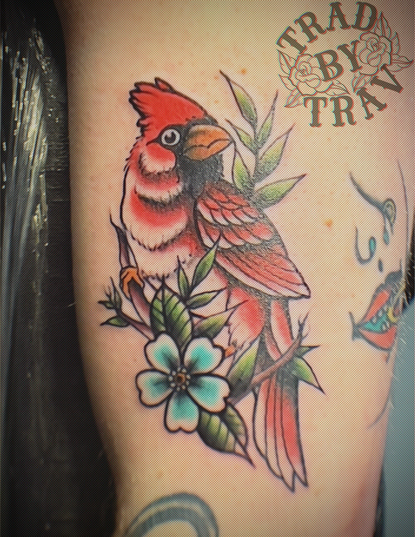 Cardinal bird American traditional tattoo on the forearm by Travis B