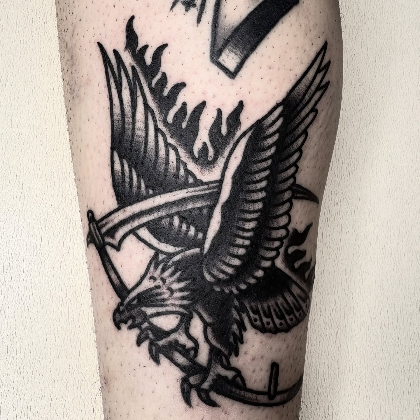 Eagle black and grey tattoo on the forearm by π³πππ πΆπππππ