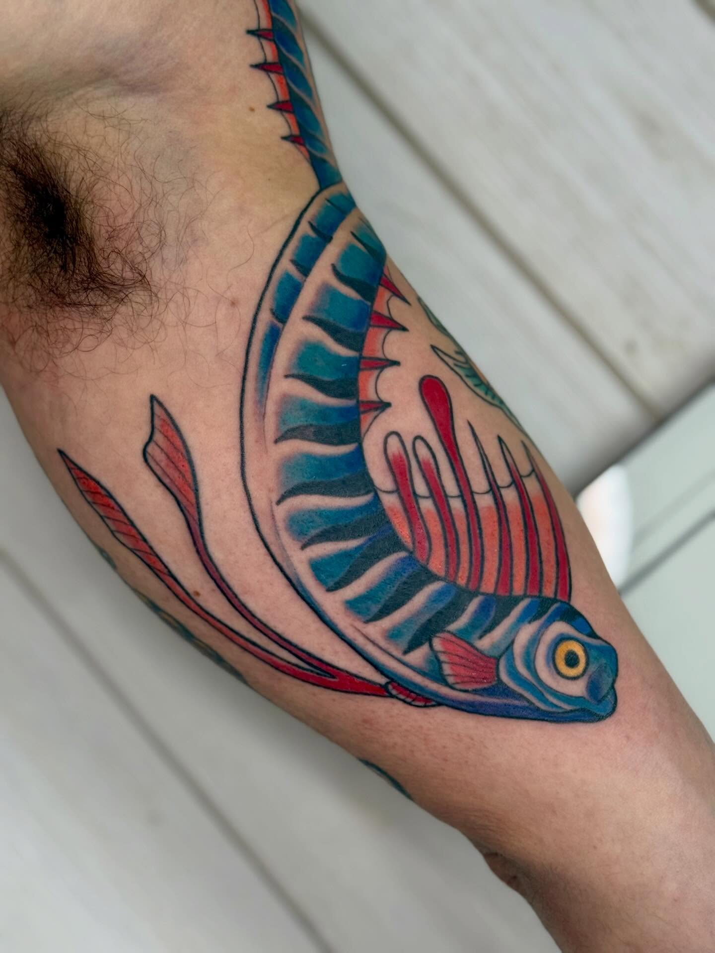 Fish American traditional tattoo on the forearm by Diana Muresan