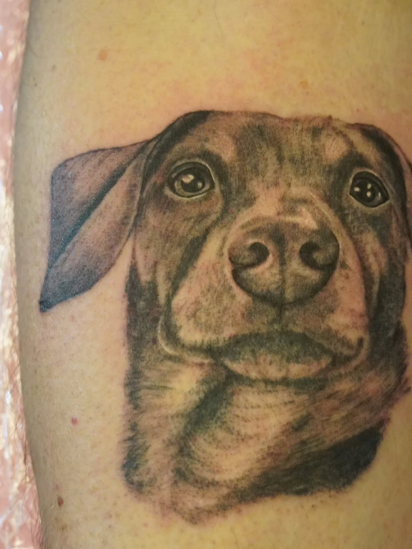 Tattoo by @rachel.tattoos — realism