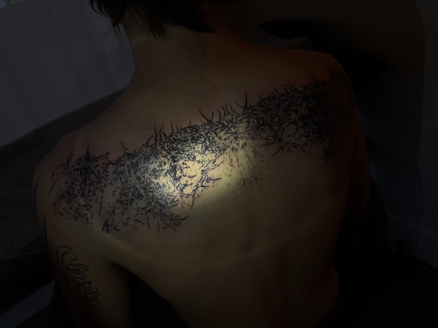 Tattoo by @sacer________ — dotwork, black_and_grey
