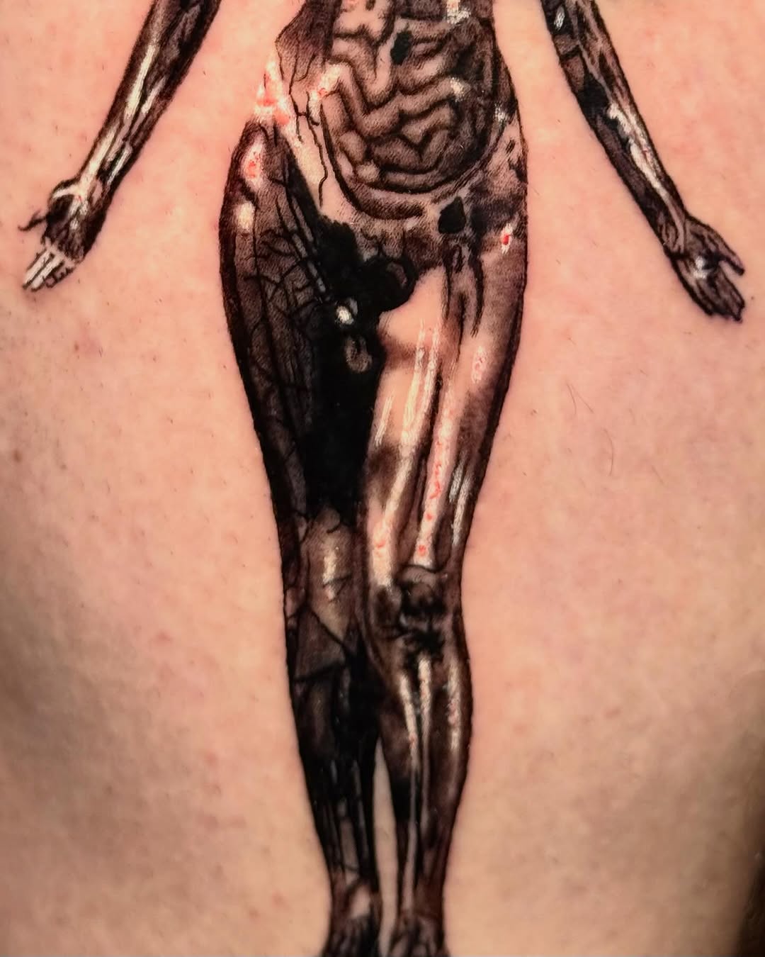 Anatomical figure sketch tattoo on the thigh by Scott!!!