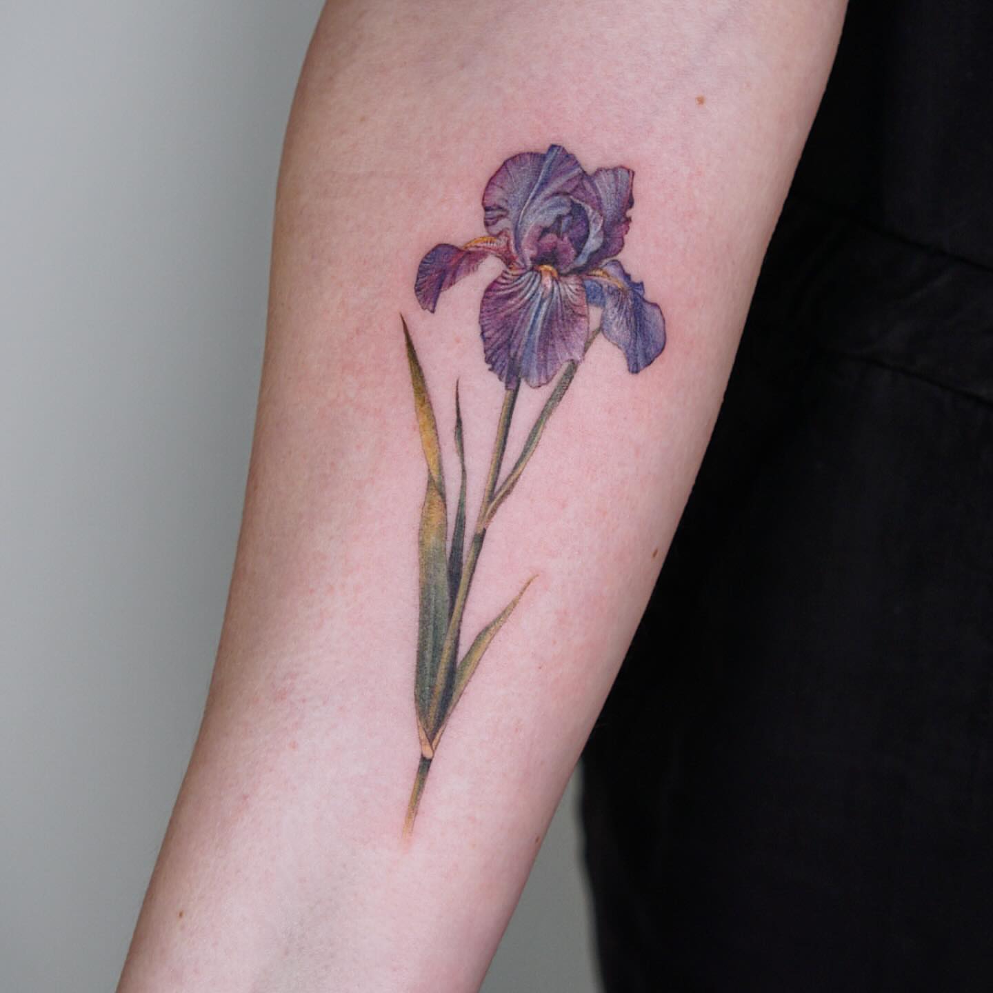Iris realism tattoo on the forearm by Alissa Jung