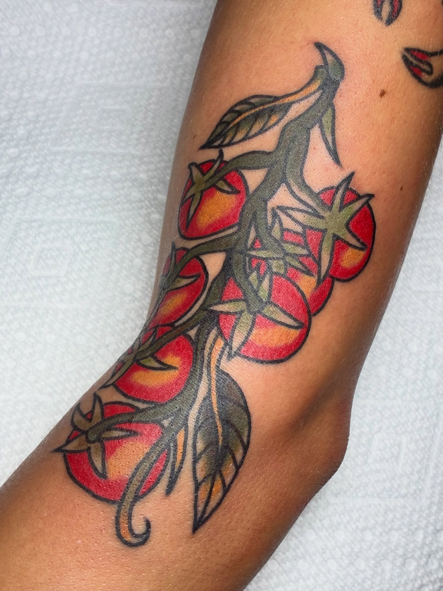 Tomatoes American traditional tattoo on the forearm by Sav Robinson