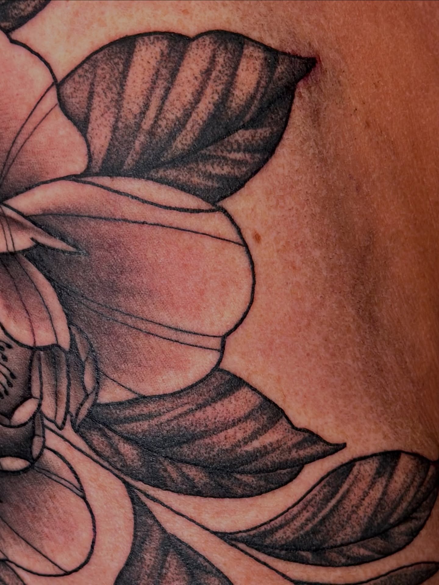 Tattoo by @cryptidtattooer — black_and_grey