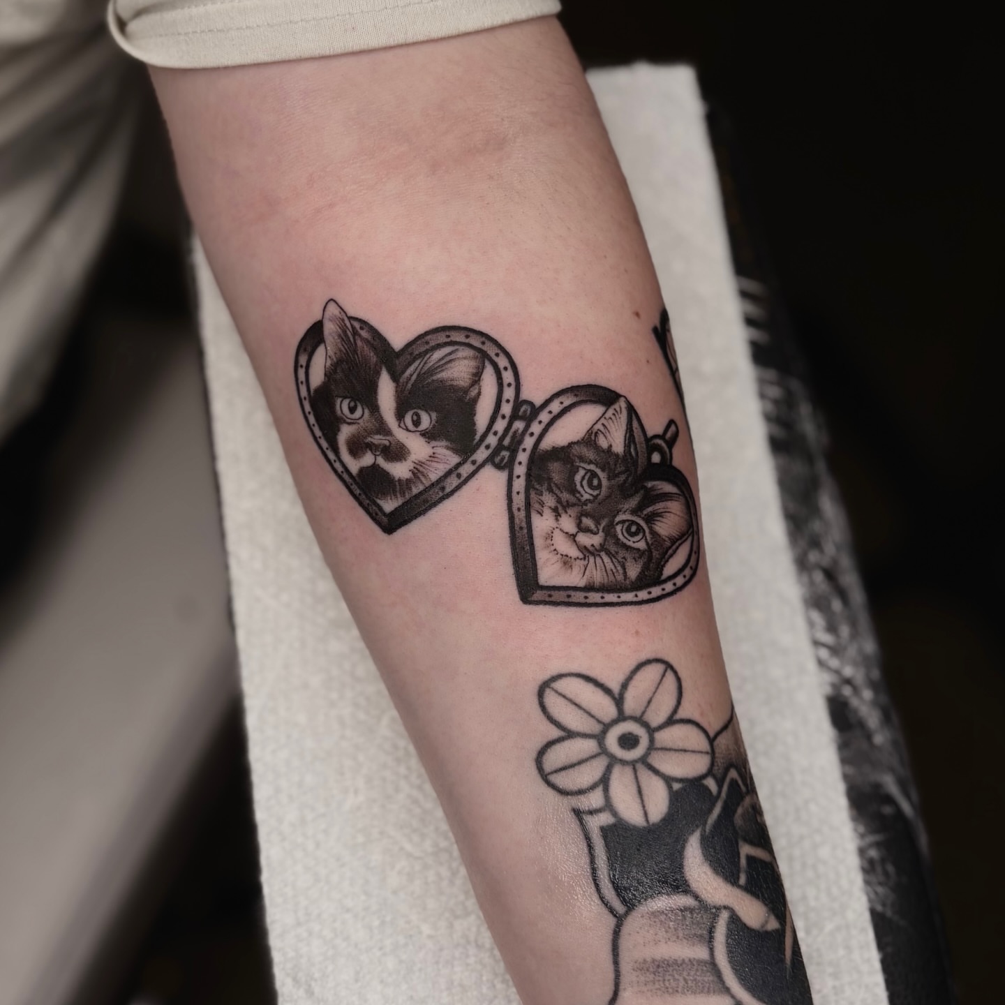 Cat faces in heart realism tattoo on the forearm by Lauren Dempsey, Dearborn, Michigan