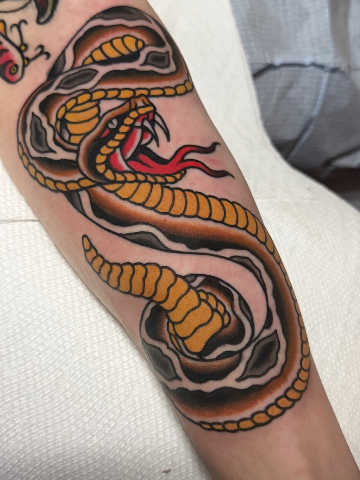 Snake and skull American traditional tattoo on the forearm by K y l e   M a c K e n z i e, Salem, Massachusetts