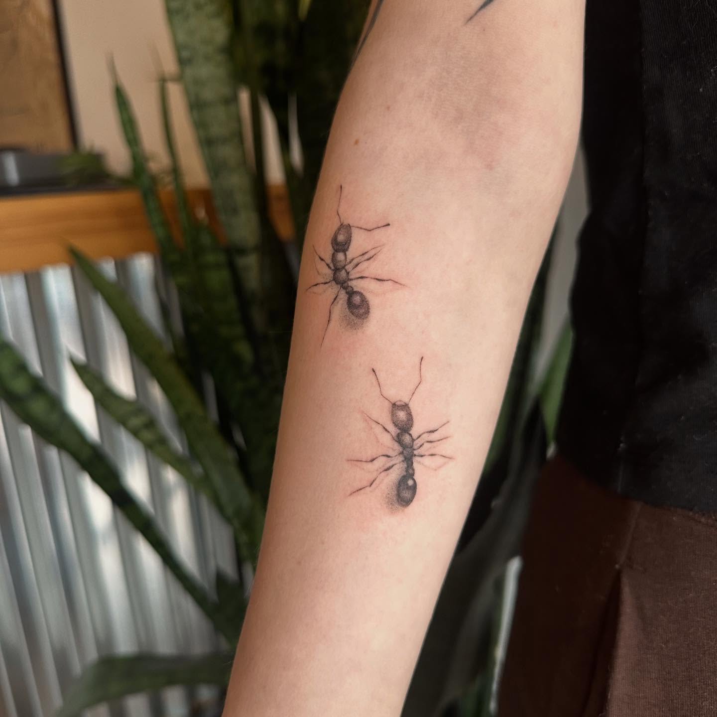 Ants realism tattoo on the forearm by sara scak, Lakewood, Ohio