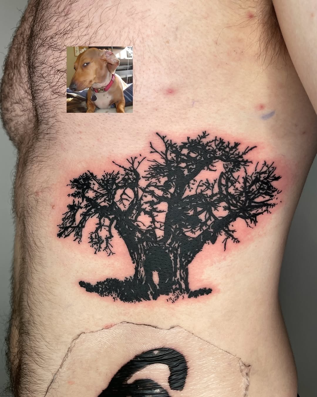 Tattoo by @telephonepole2 — blackwork