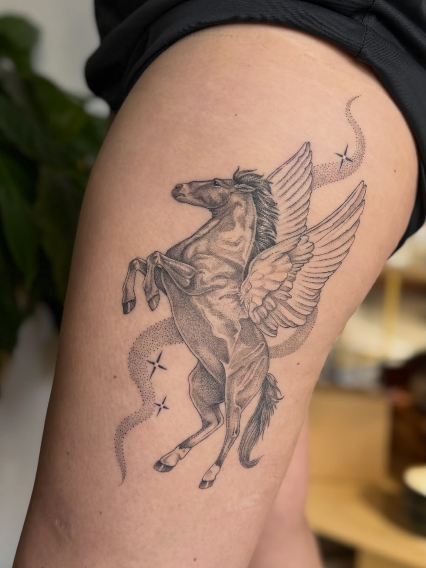 Pegasus dotwork tattoo on the thigh by 𝕵𝖊𝖘𝖘𝖎𝖈𝖆 𝕰𝖑 (raleigh tattoo artist)