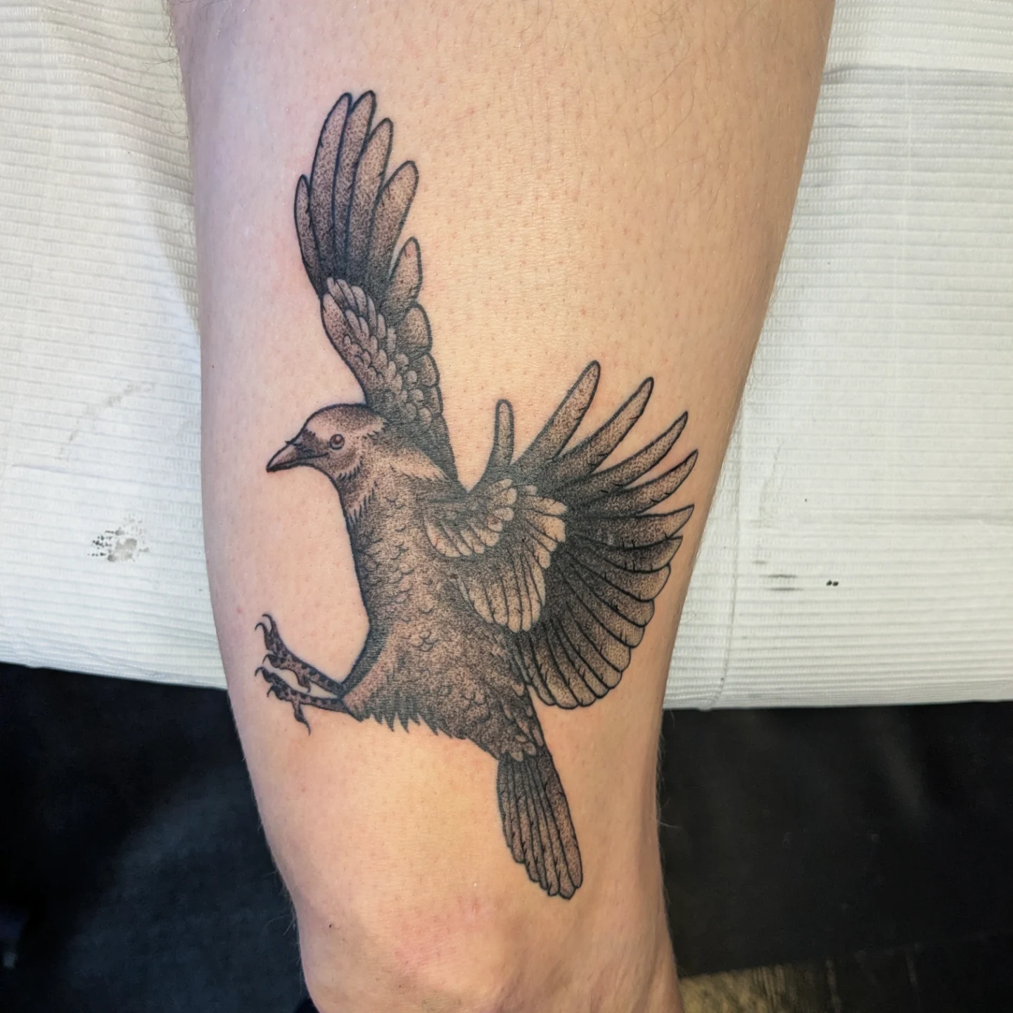 Crow dotwork tattoo on the forearm by Madison Cañedo ✺ Portland tattoo